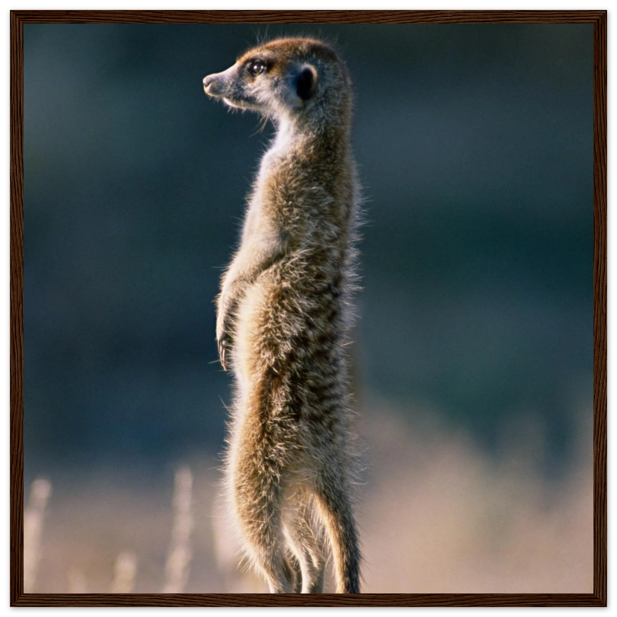 03aa7cdc-9439-441a-af97-f1f380272cf2