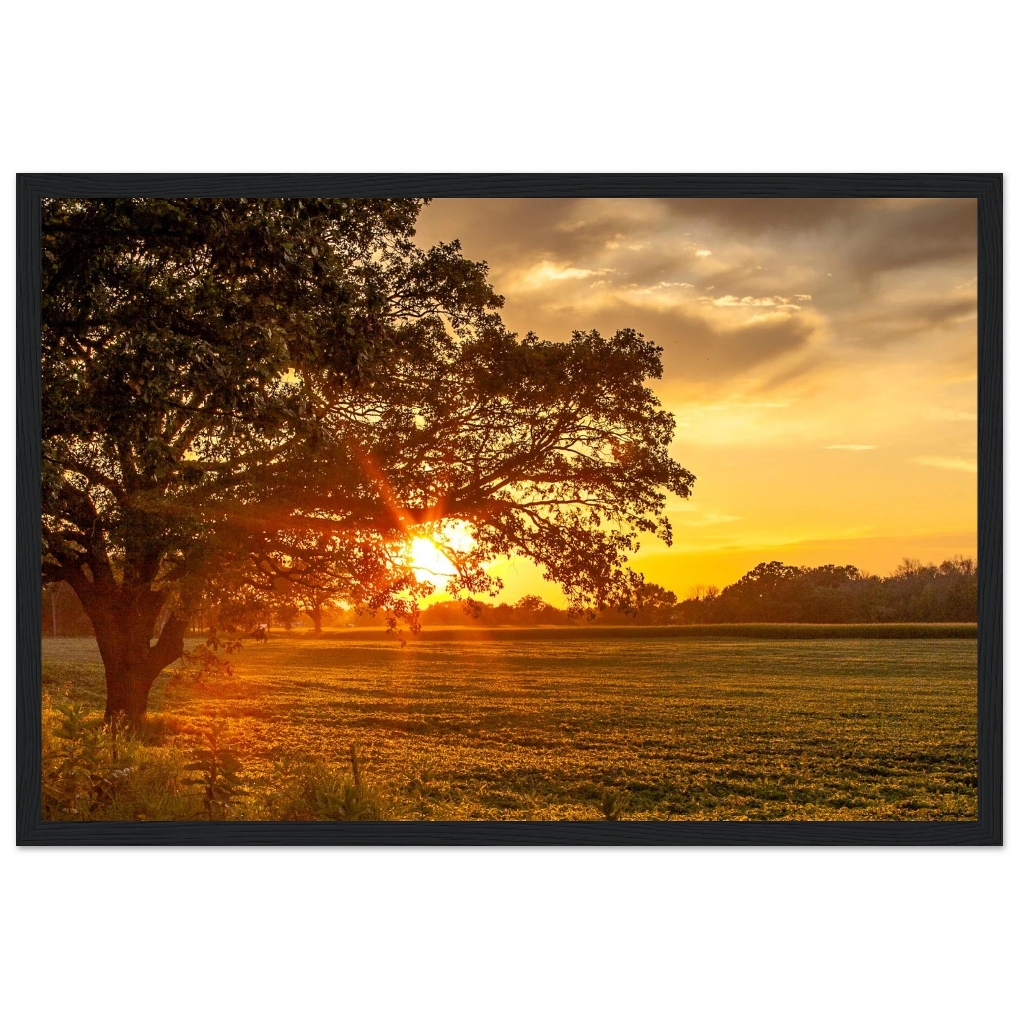 03aae0c7-4ee3-4321-b6a7-dc8708f6ab83