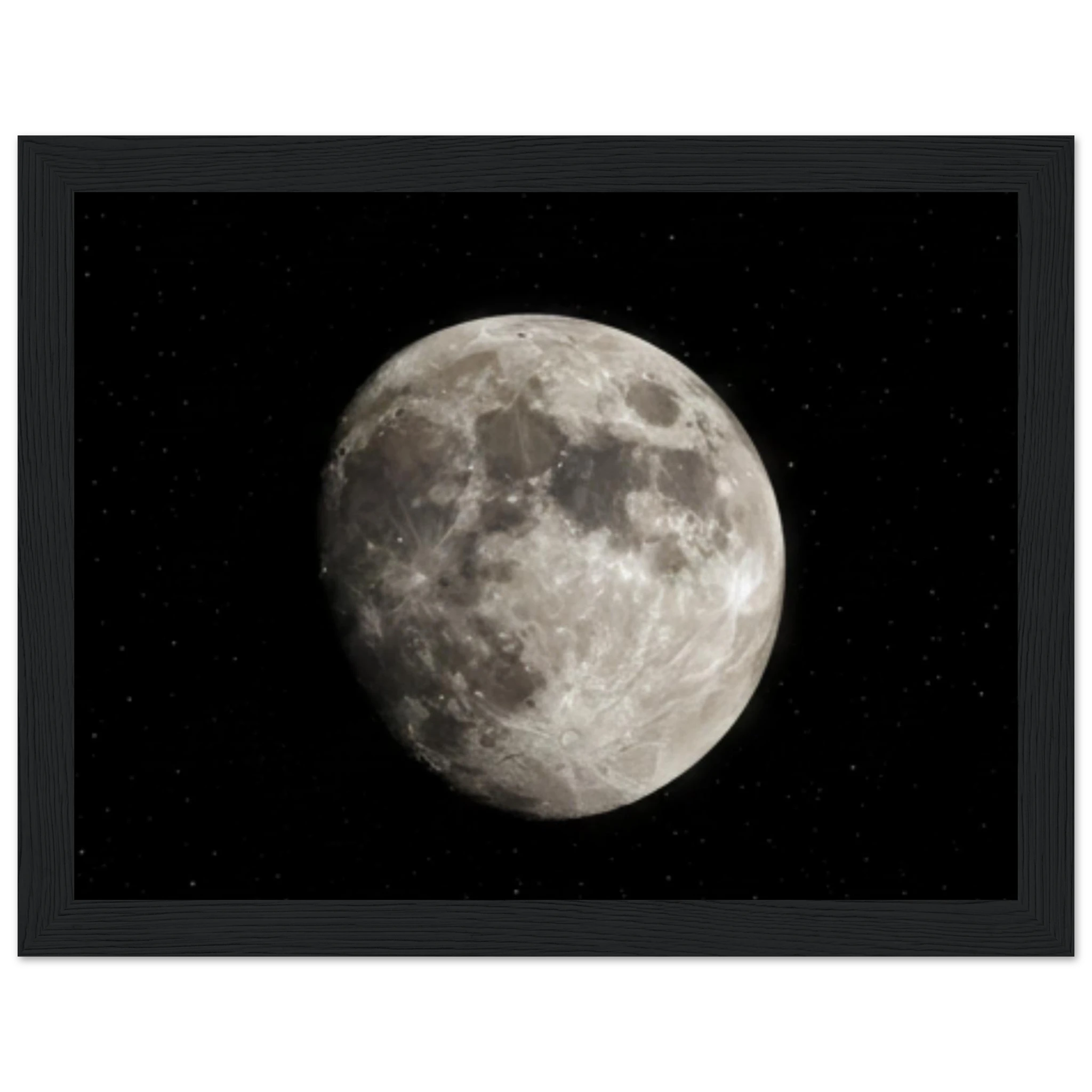 03ad64a2-a584-406f-8d9e-c00fc6652b32