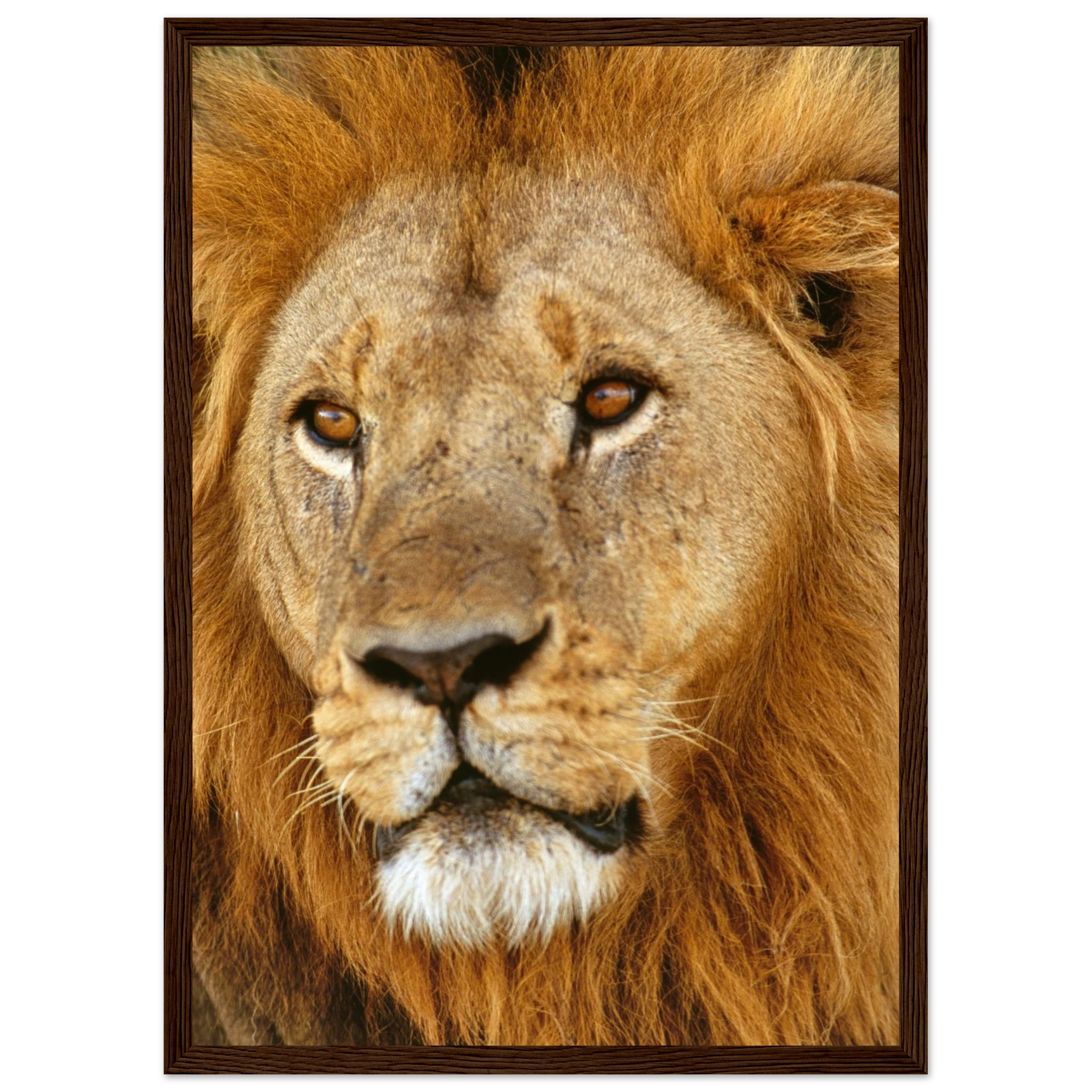 03be8d0a-f925-4be6-a709-16da2131e45b