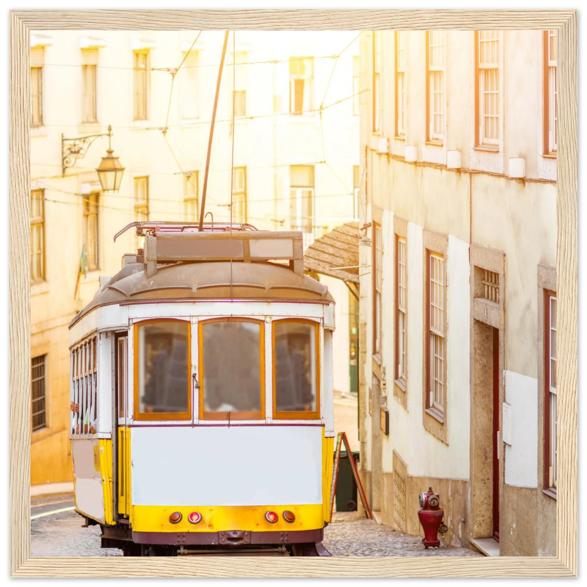 03bf2580-55b6-41fb-bdaa-2d22f806c5a0