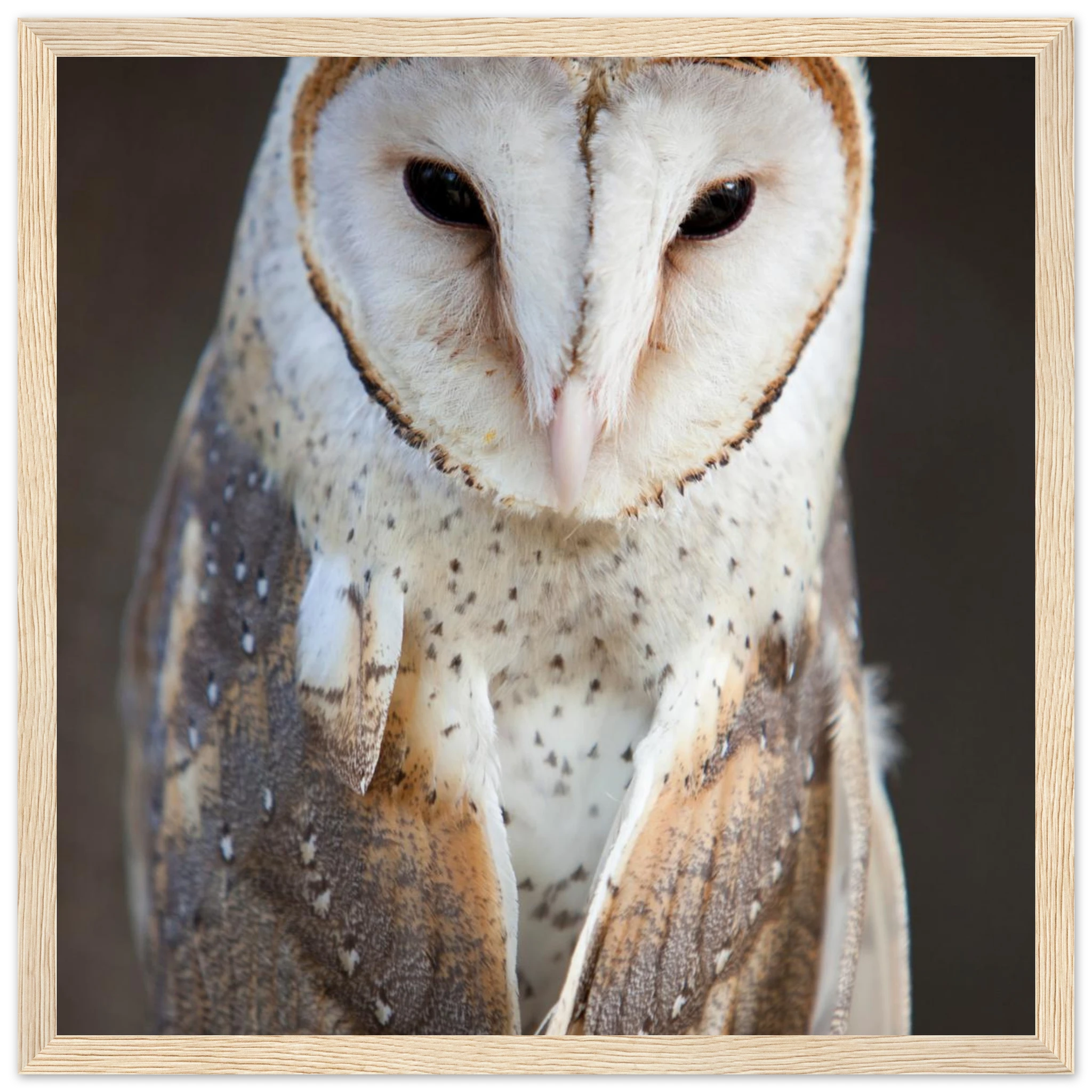 03cb94b9-26fe-48f5-b8e1-770857e27d49