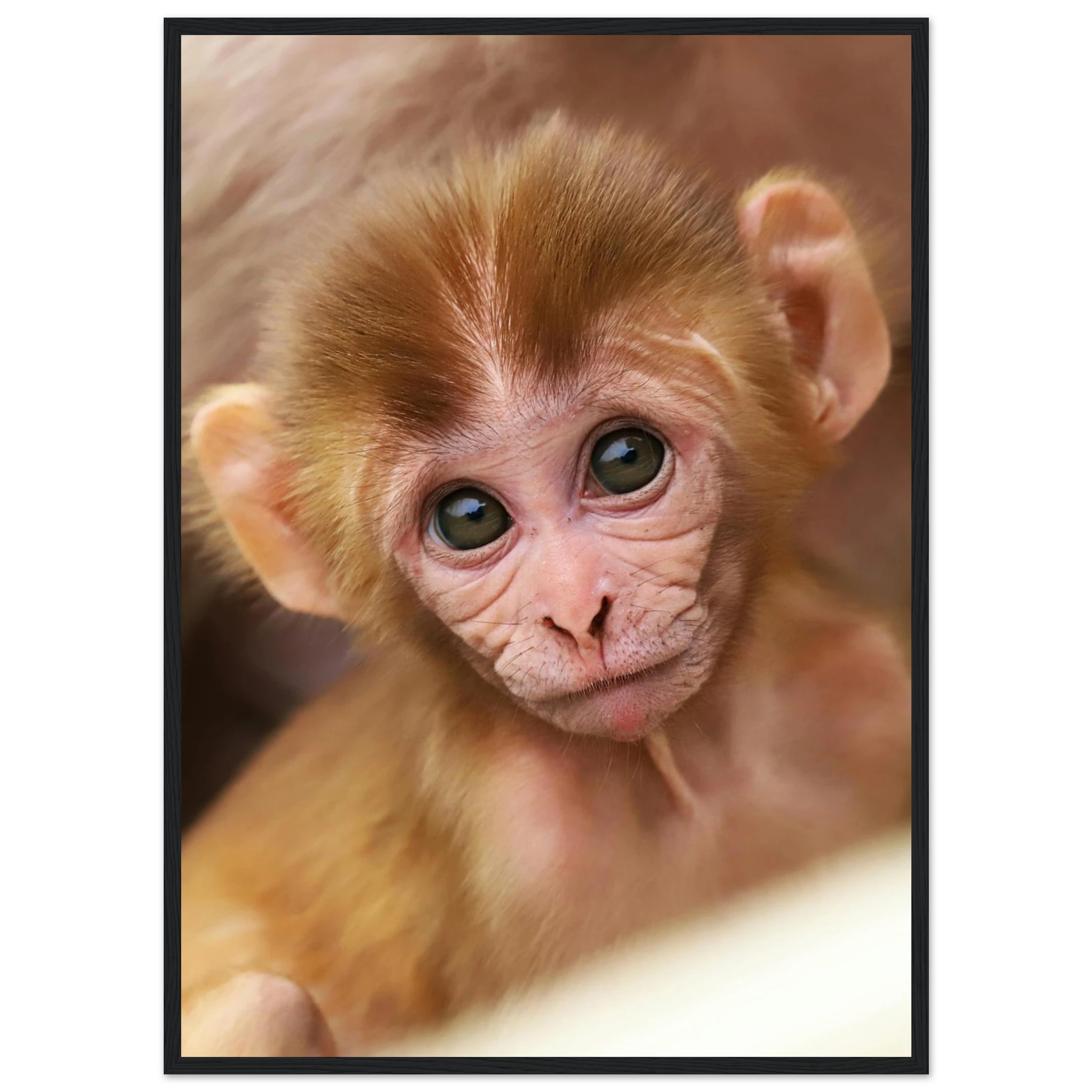 03fabc7e-f478-4fcb-8bee-e0ec7fbb3cc7