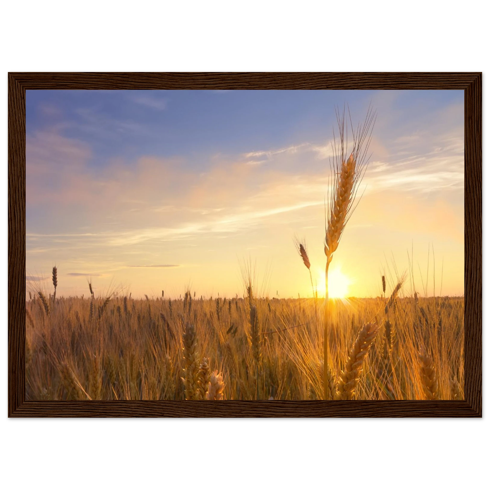 03fc9525-ba52-4c6b-8270-13f6c18c373d