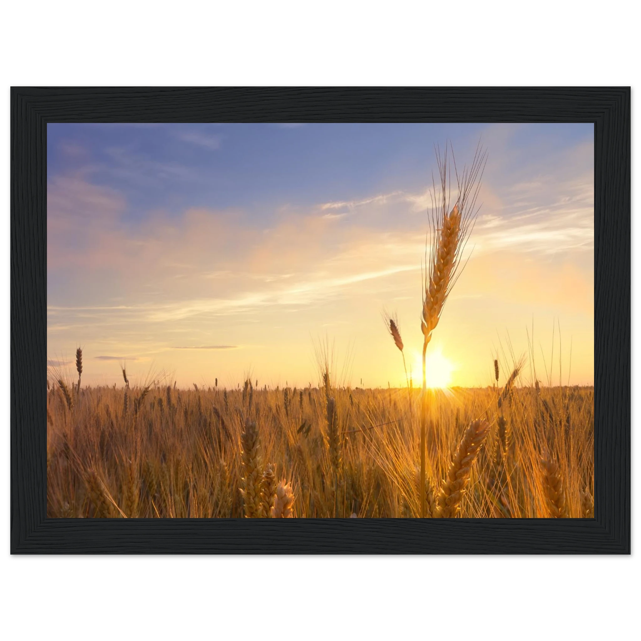 04041479-4c40-4e73-b225-331eaab693a5