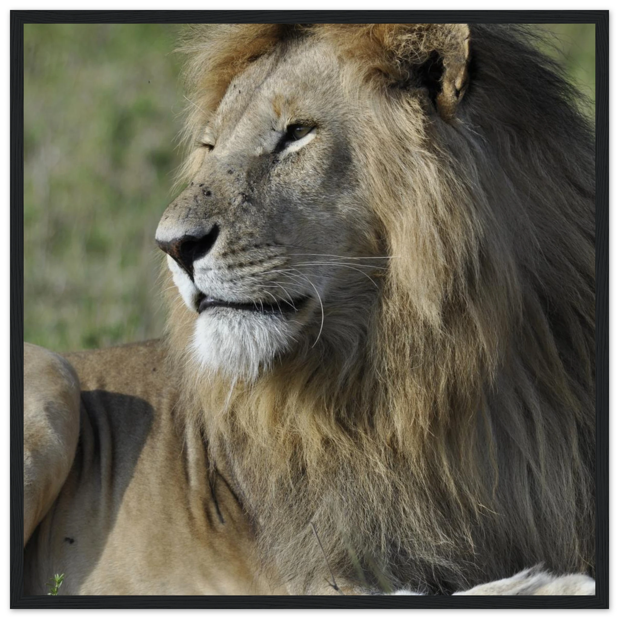 04094419-ad9f-4f49-ac82-b30b2161ec52