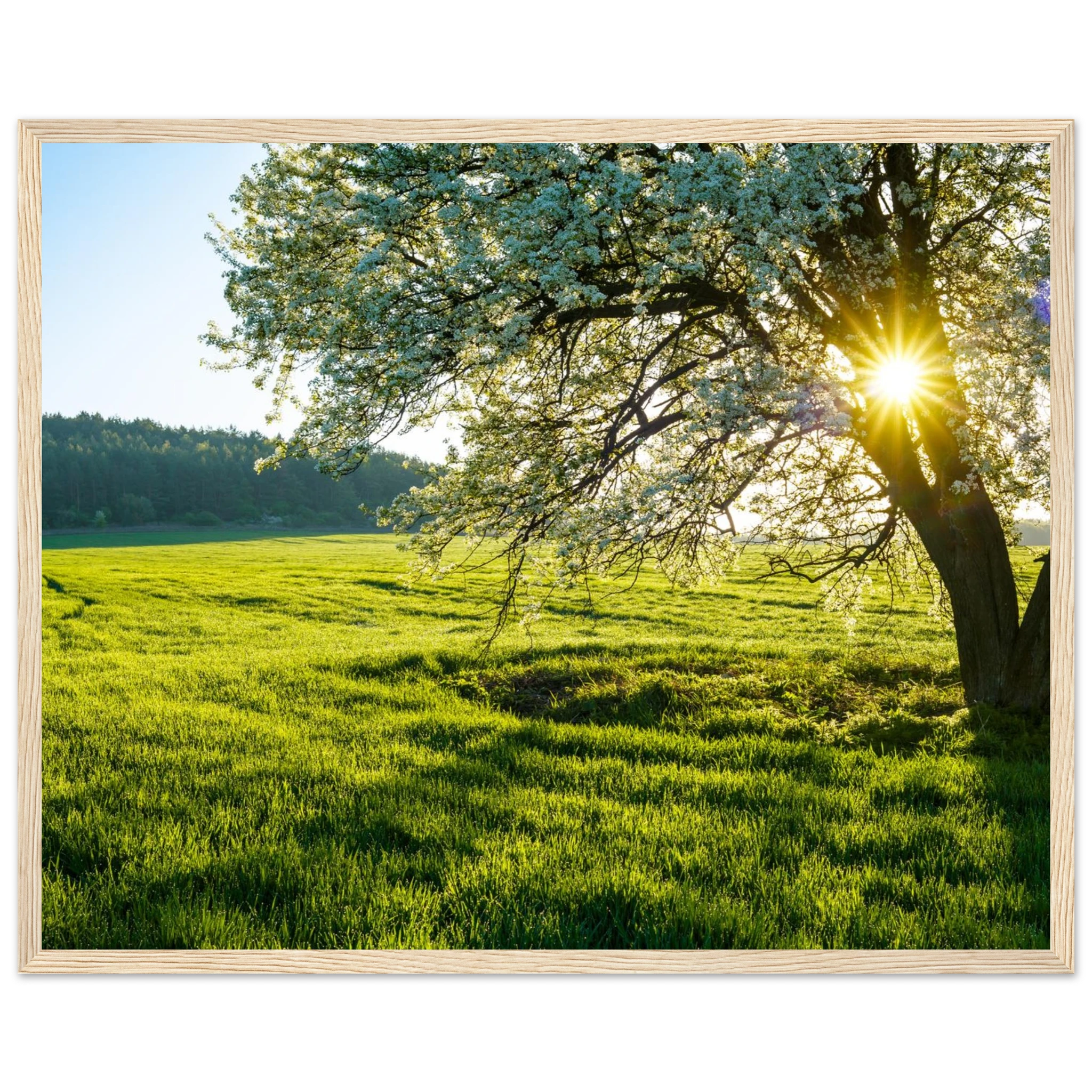 040d4ce0-bbf8-4f05-a198-4bc44f1dcc39