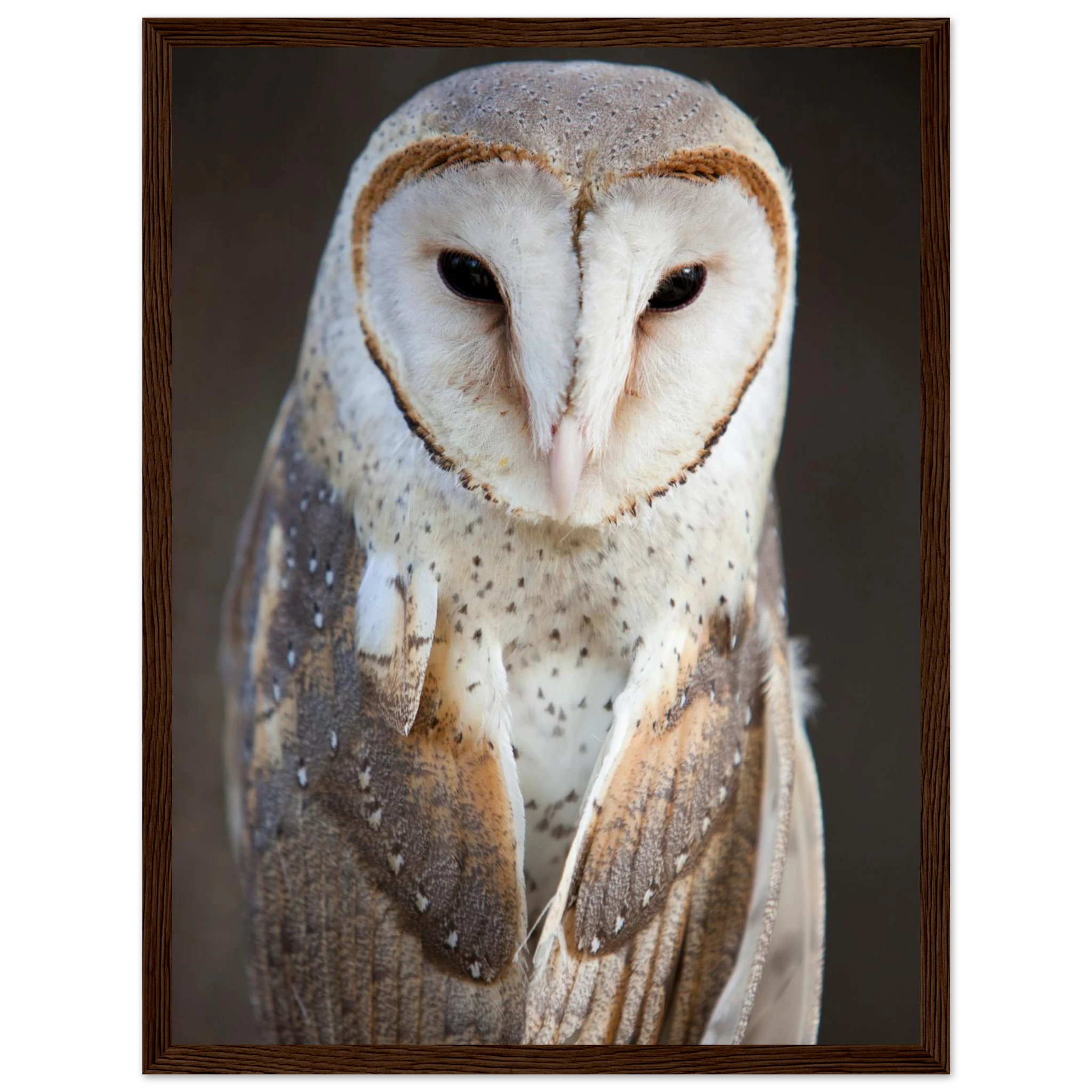 043cb919-05df-4e29-a689-c6fce93ec04b