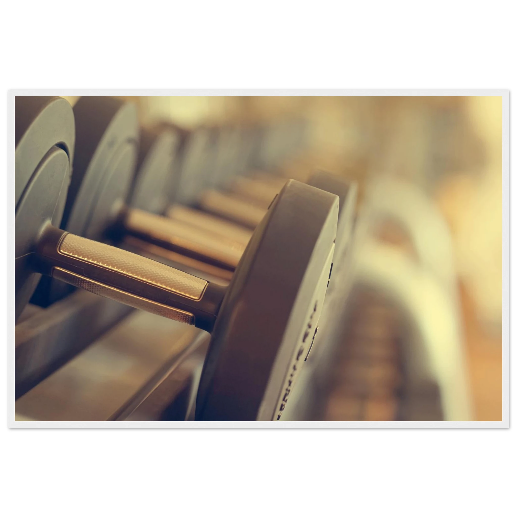 045bade0-2502-405a-89a1-a58b9809c53a