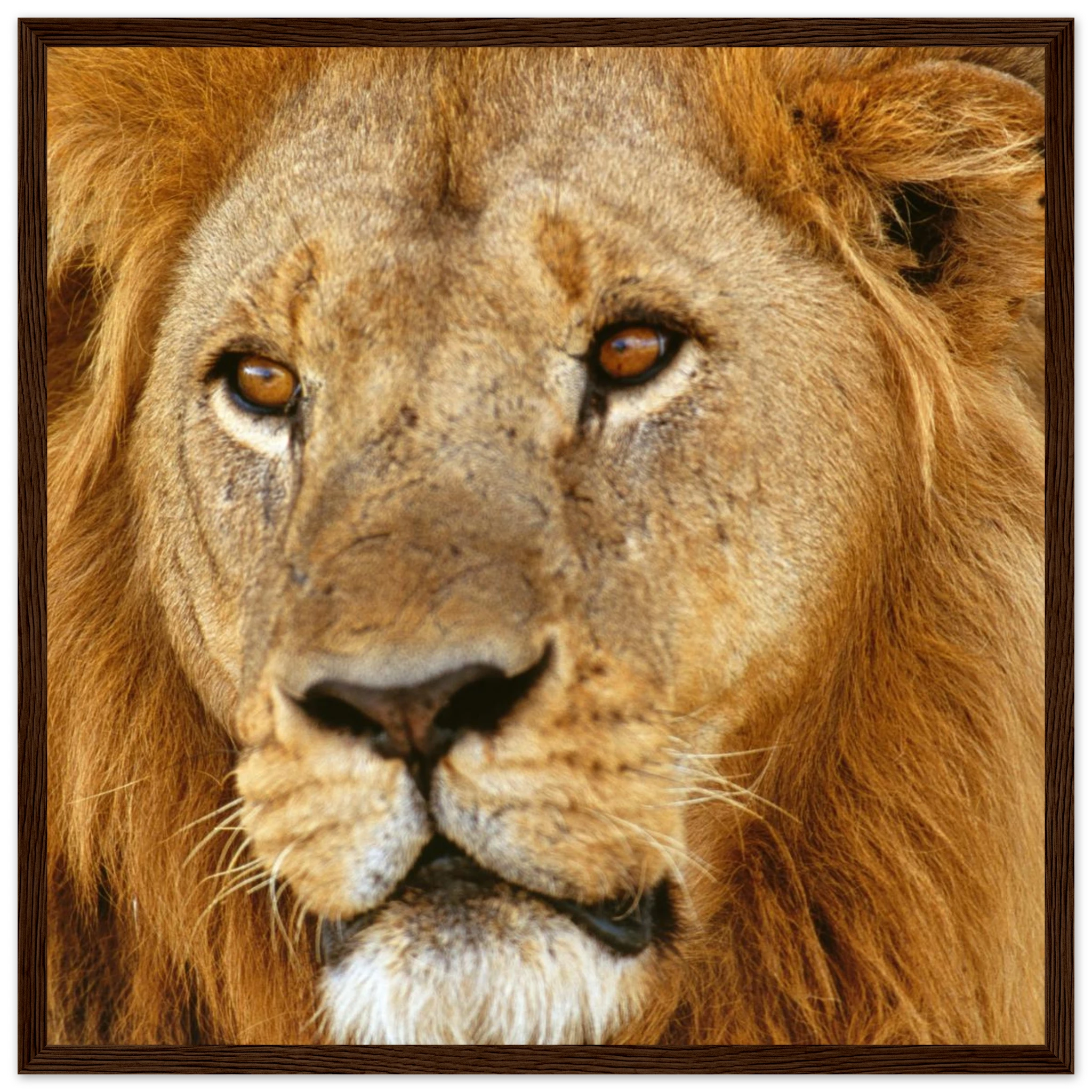 048850cd-f335-484b-9a87-b6569f882d96