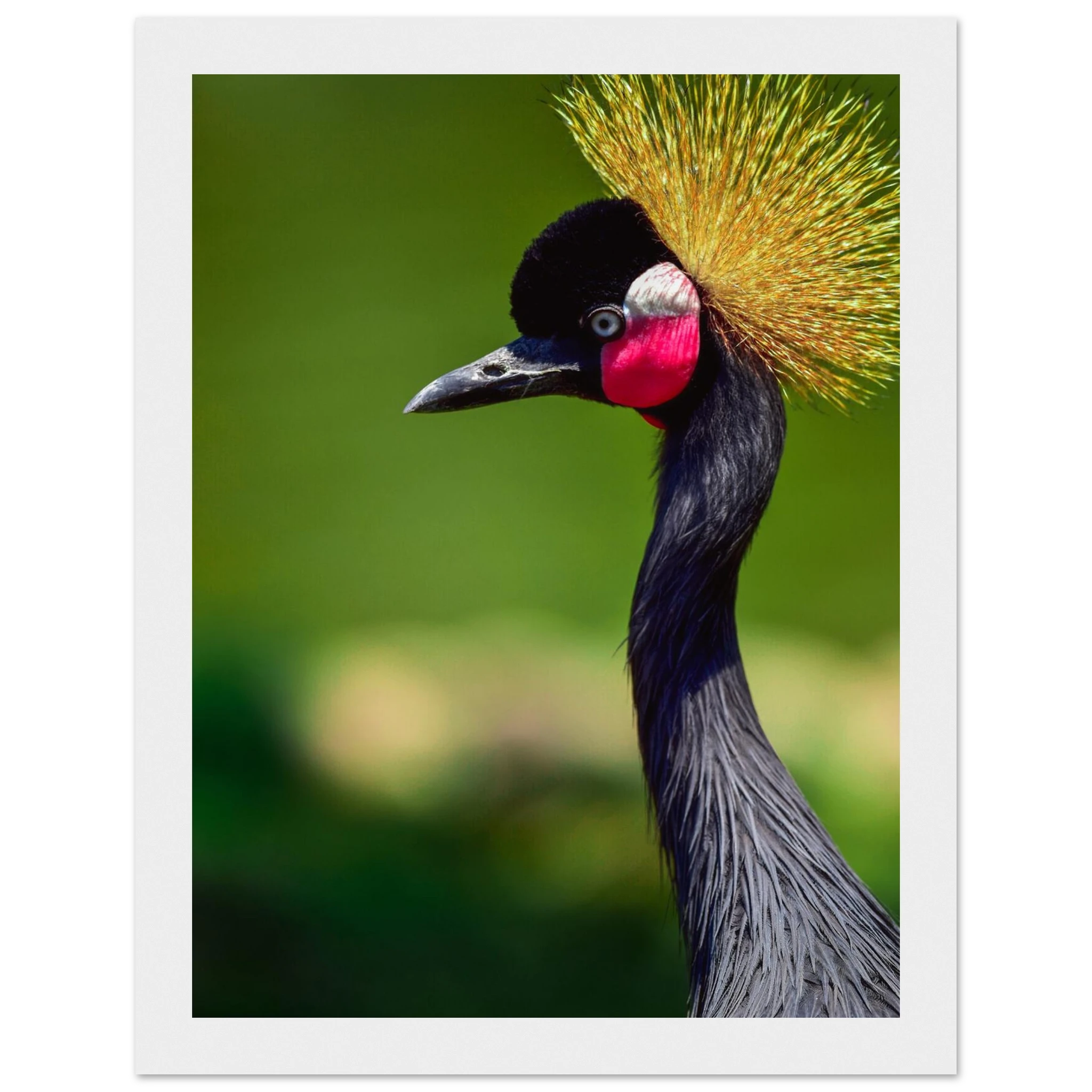 048f73b5-cc0f-46ba-ae38-c705bf9c769a