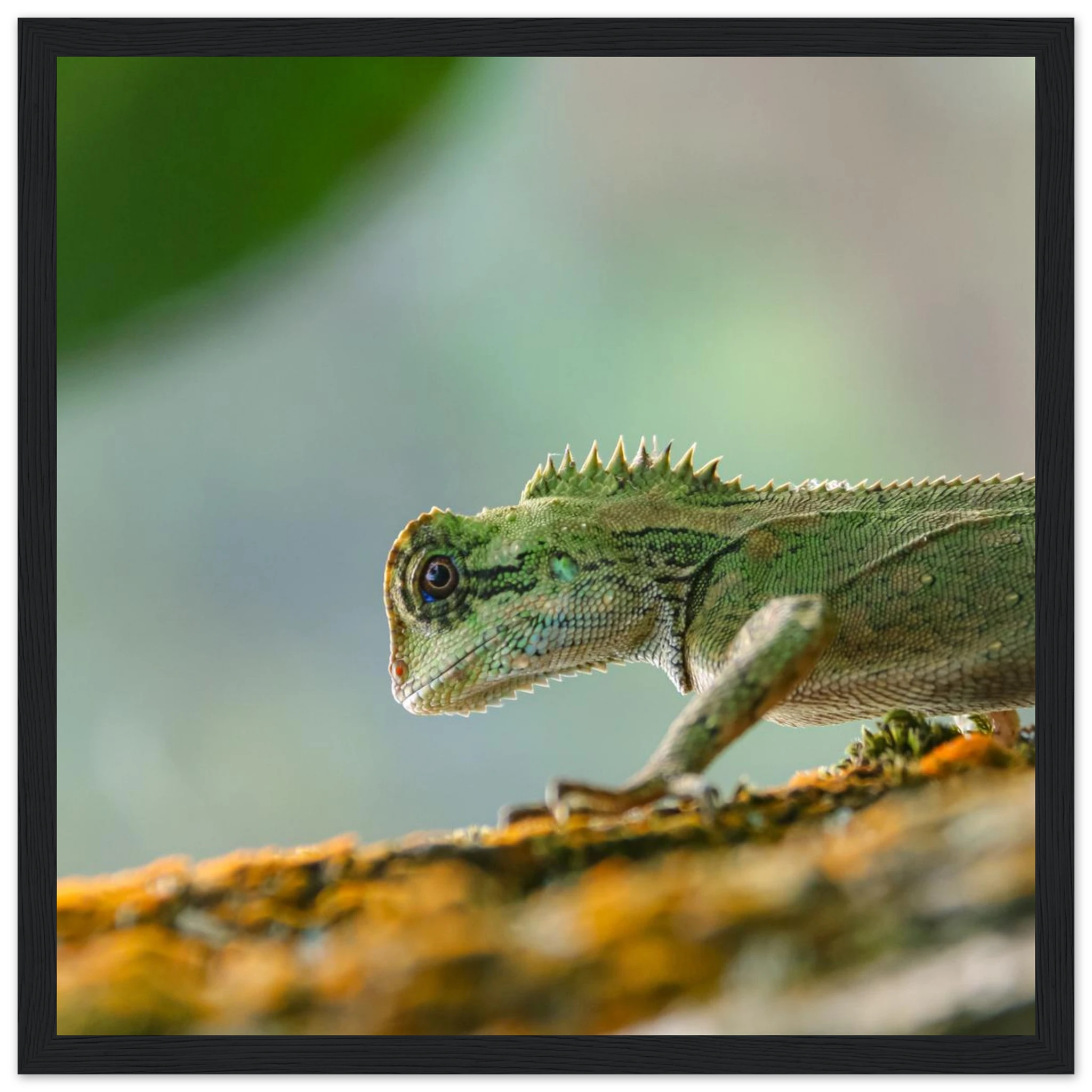 0492b29e-6c2d-4c8e-9a79-0859d1337f2b