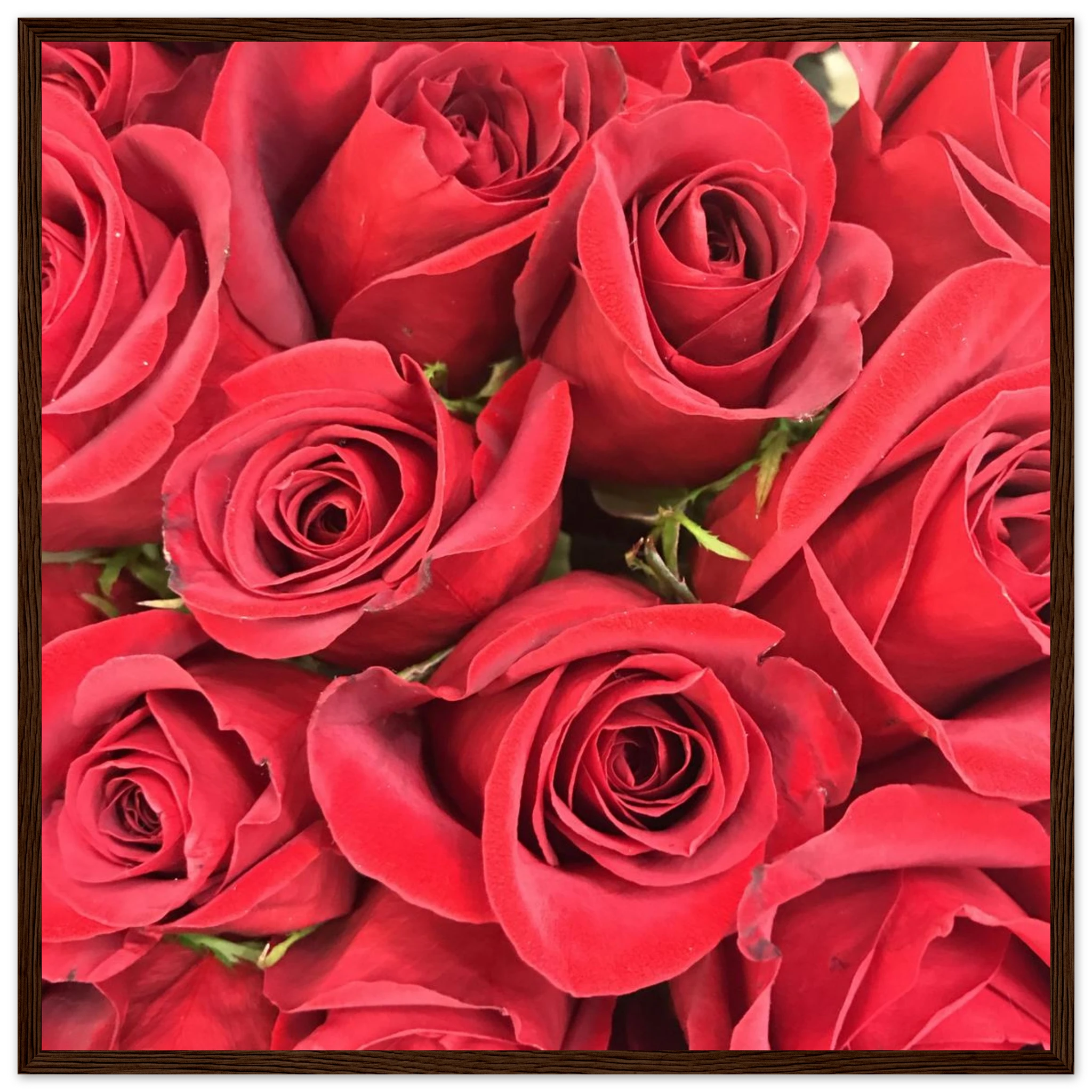 049e4a5e-1a84-4afa-9055-6234b8eb475b