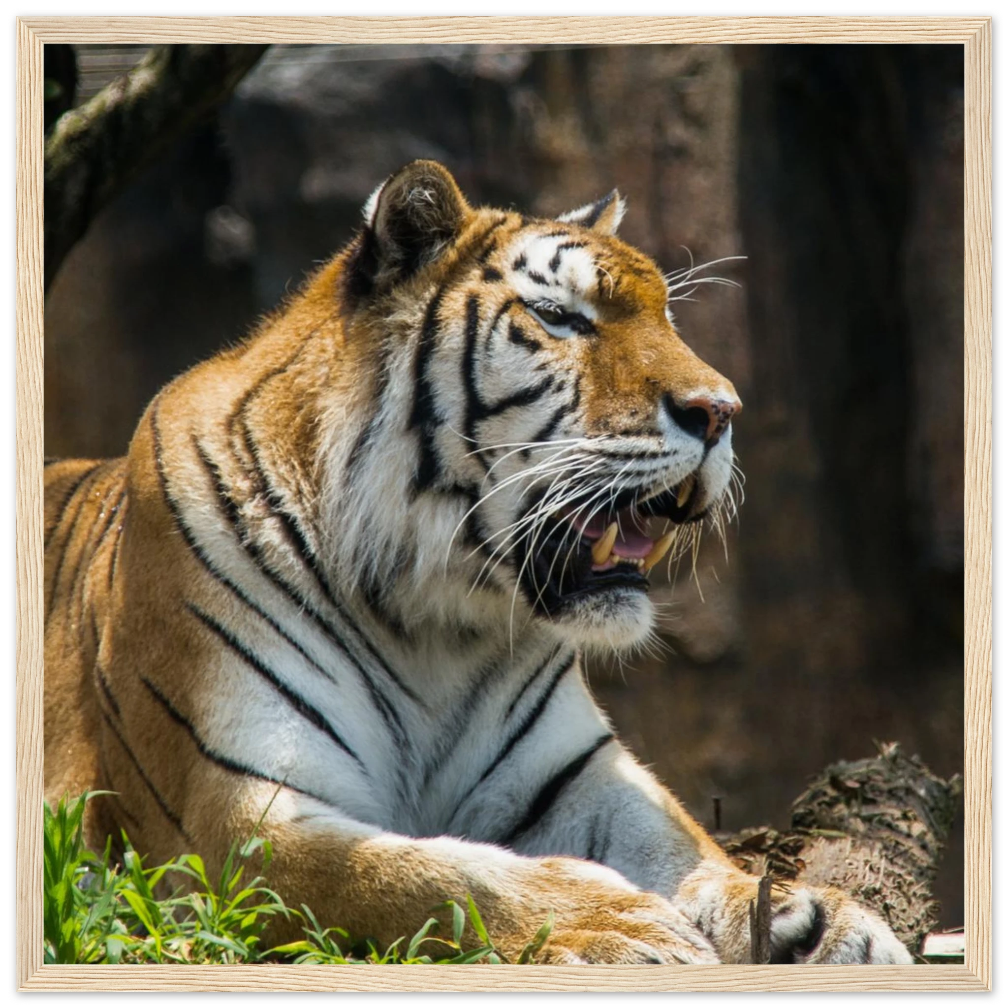 04a29b8e-3bbc-4880-8990-465b74c08826