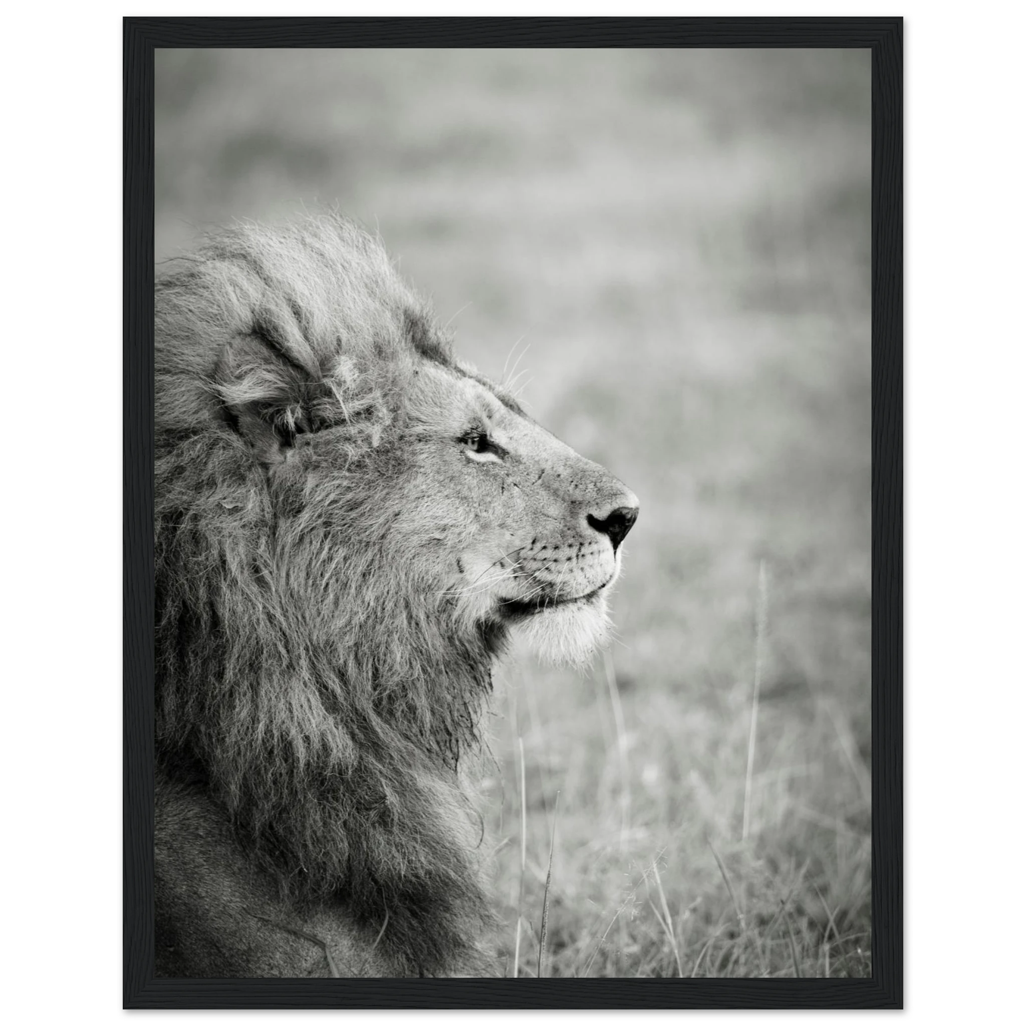 04b6e7be-2319-4593-9b92-4822b7d9abdd