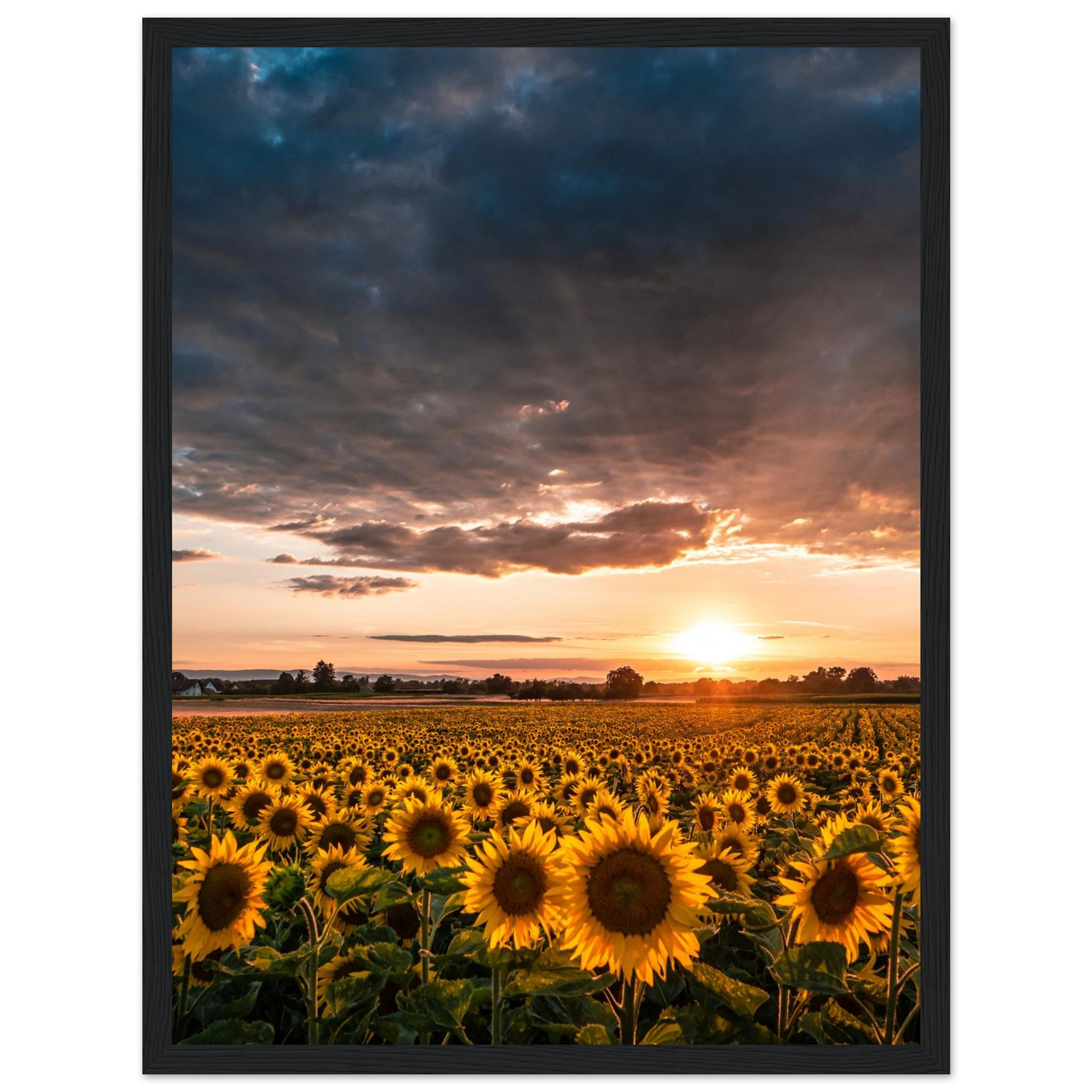 04e6e0c8-6958-42ef-838b-4ca55de5d725