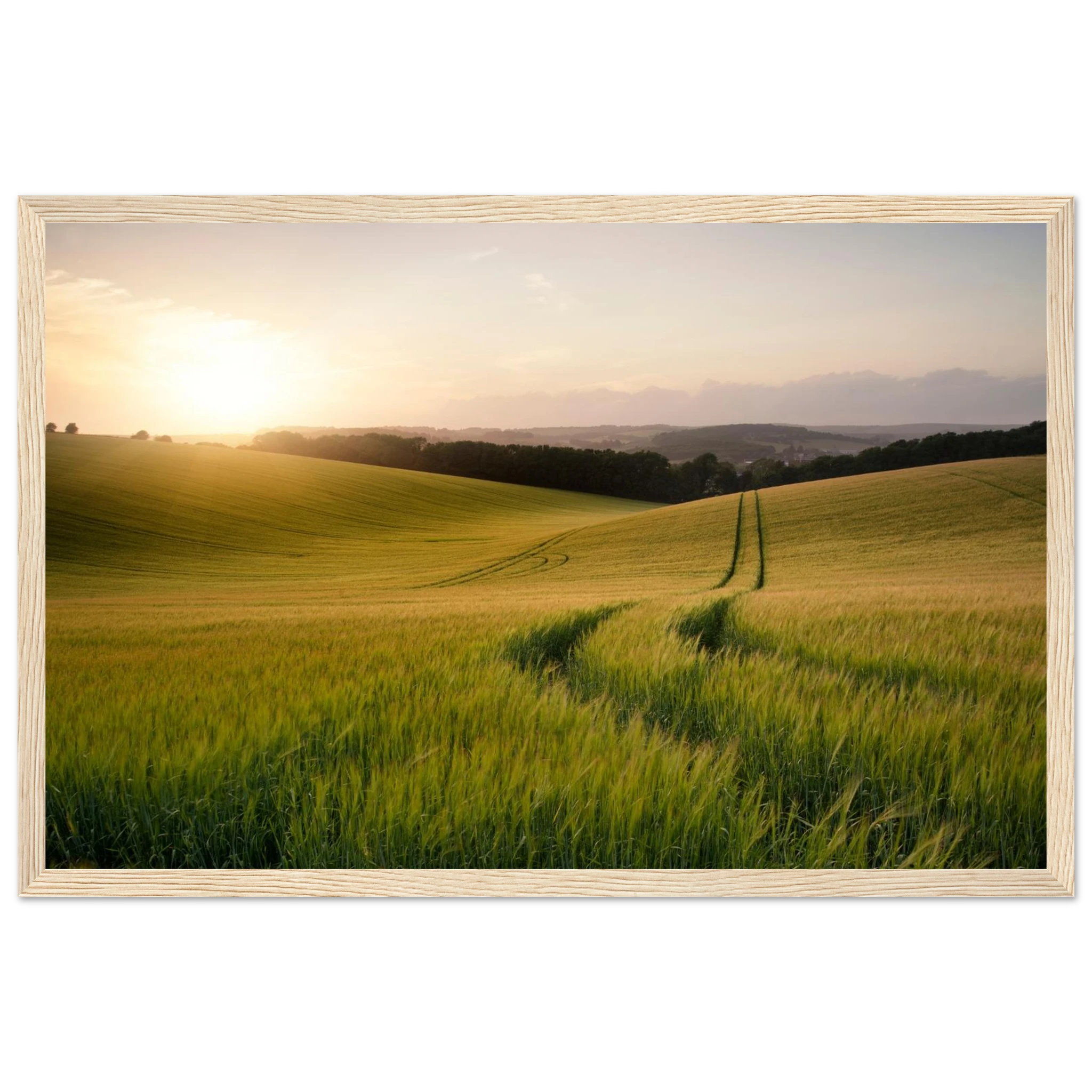 04edb4b7-39bb-4afb-be8d-2a15c0b7f6d0