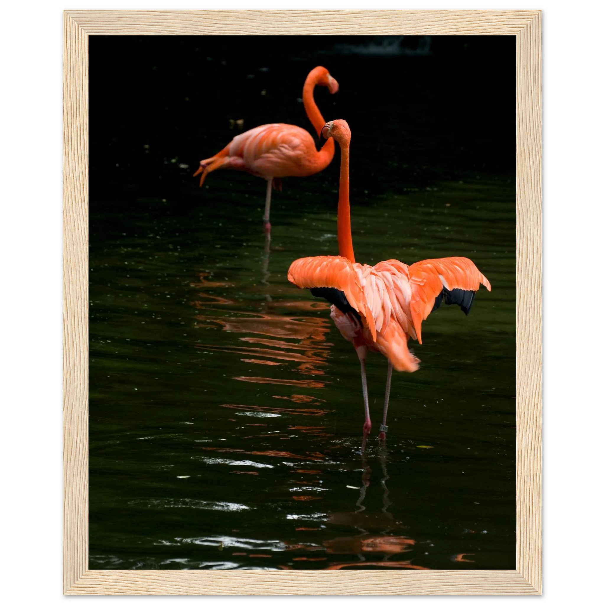 04fdfc52-d117-4bc1-8293-e3fe9c1fcab5