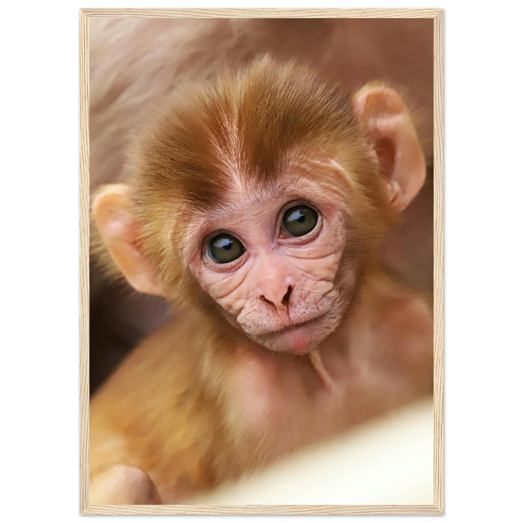 050438f8-433c-4bf0-9934-e155b7b063ad