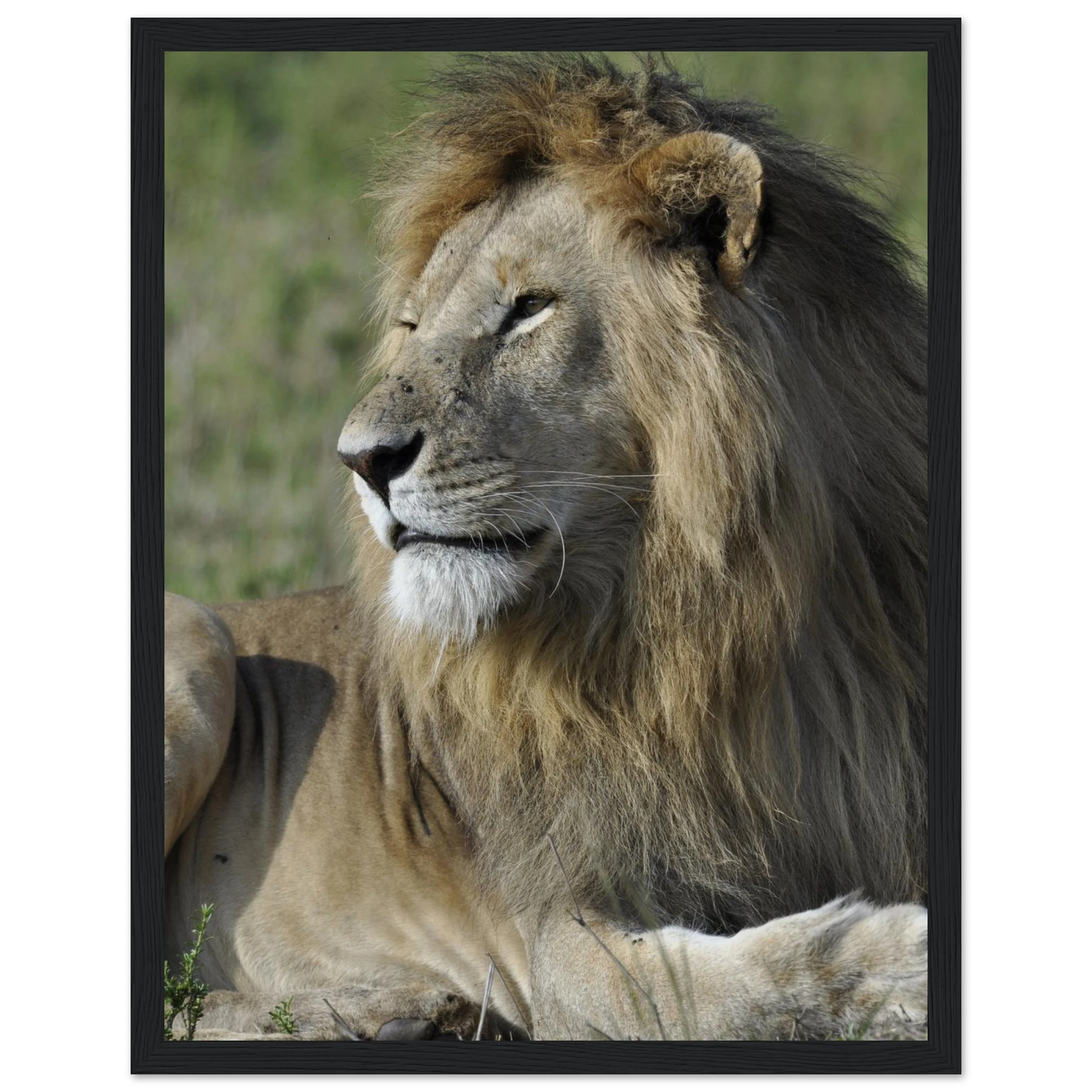 0508ee33-de47-4f10-8554-87f59f5e6ed3