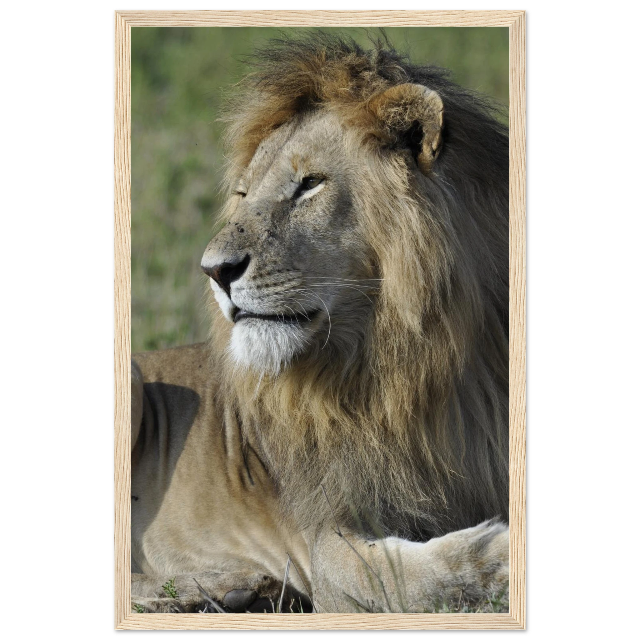 050b607d-98c5-4022-b2b4-601de91ed04b