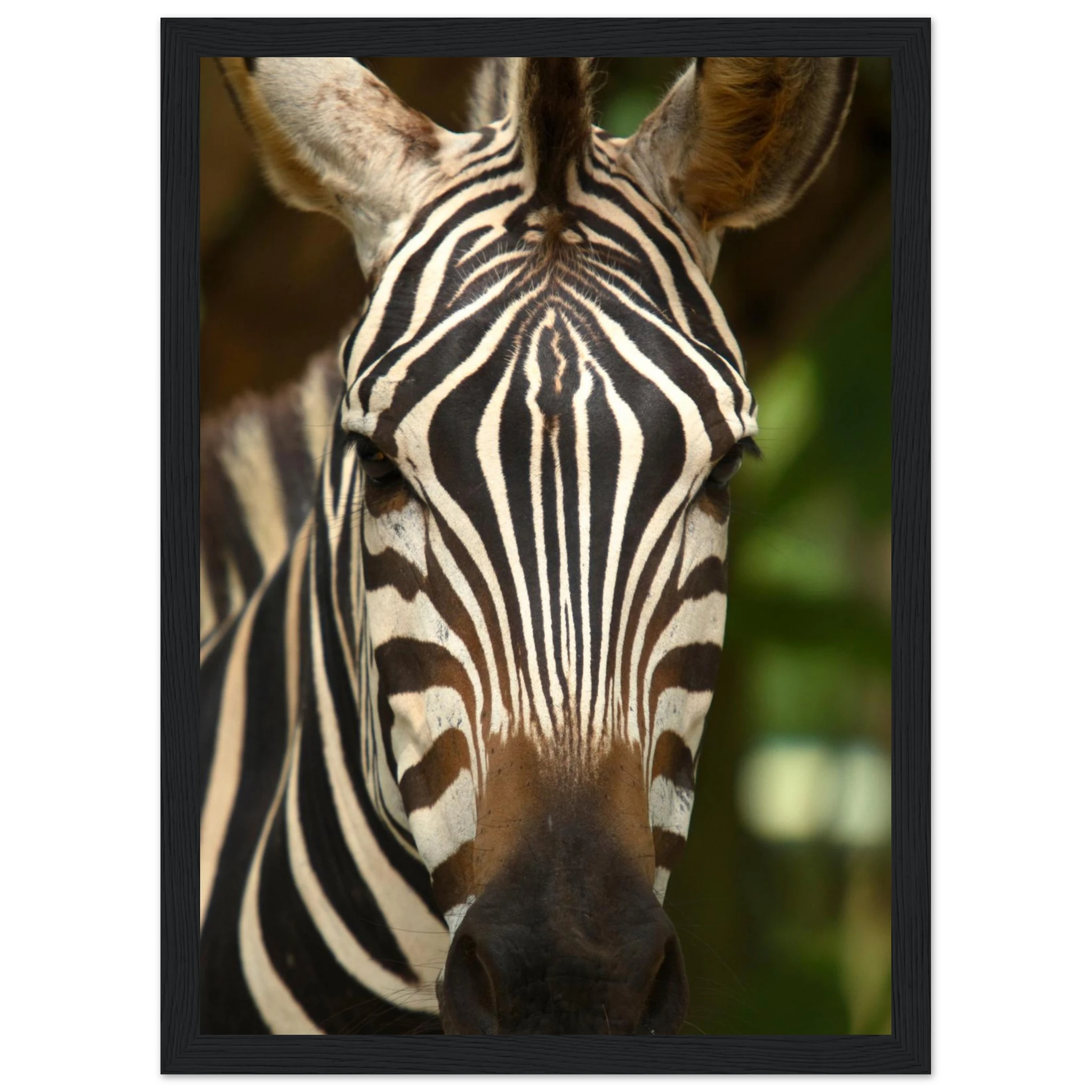 05119e63-54df-4031-8b69-921f74863c85