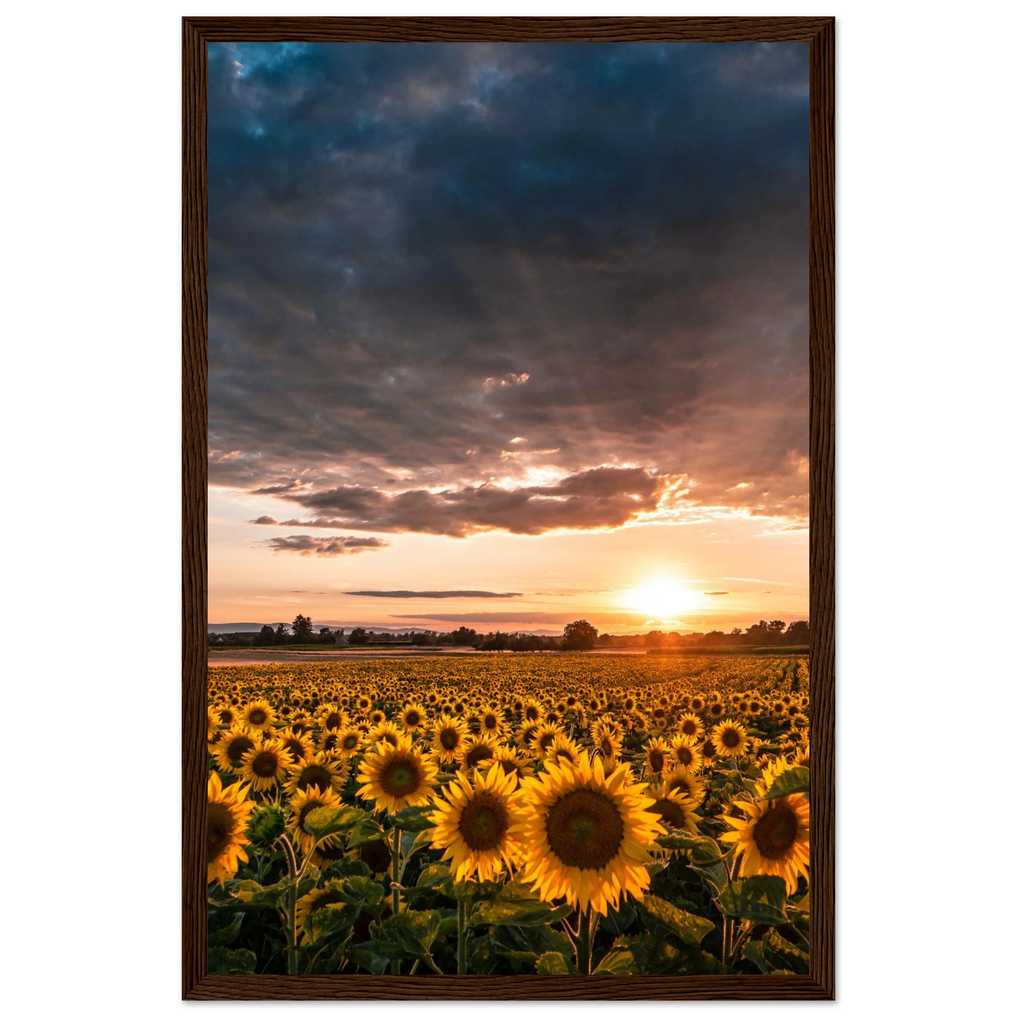 0513ba4f-9518-4a49-ae8f-a3768f3bc8a7