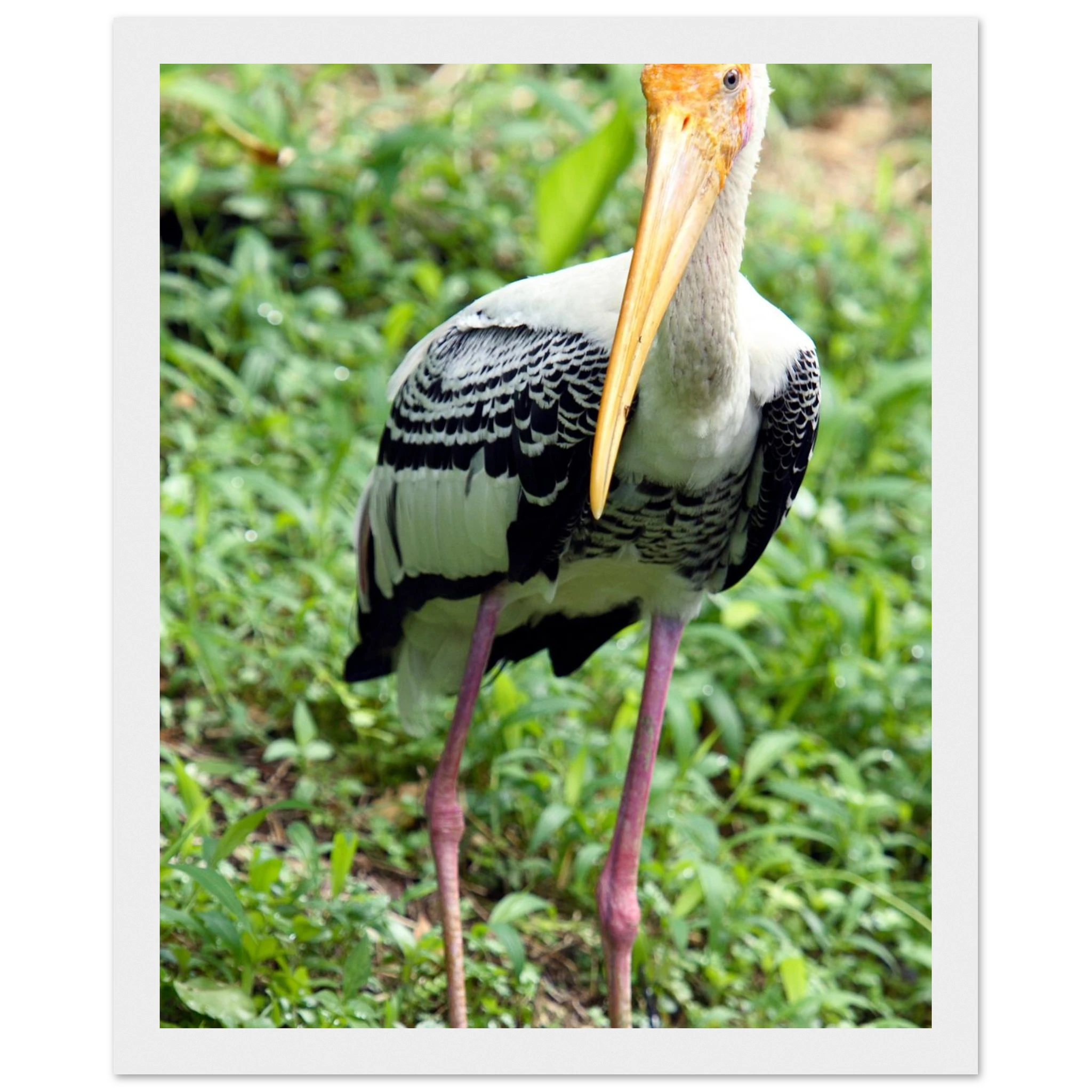 05419f3d-d899-4809-9004-f9a1df4e8c65