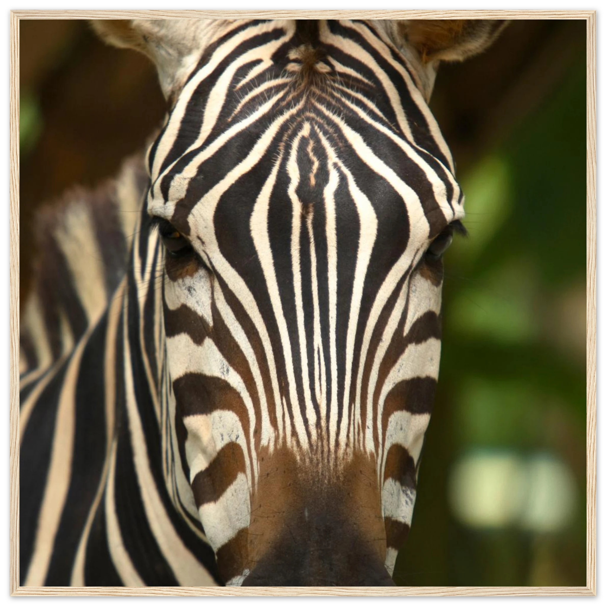 054a7ae3-42e9-4353-8db7-3a90e6050fd2