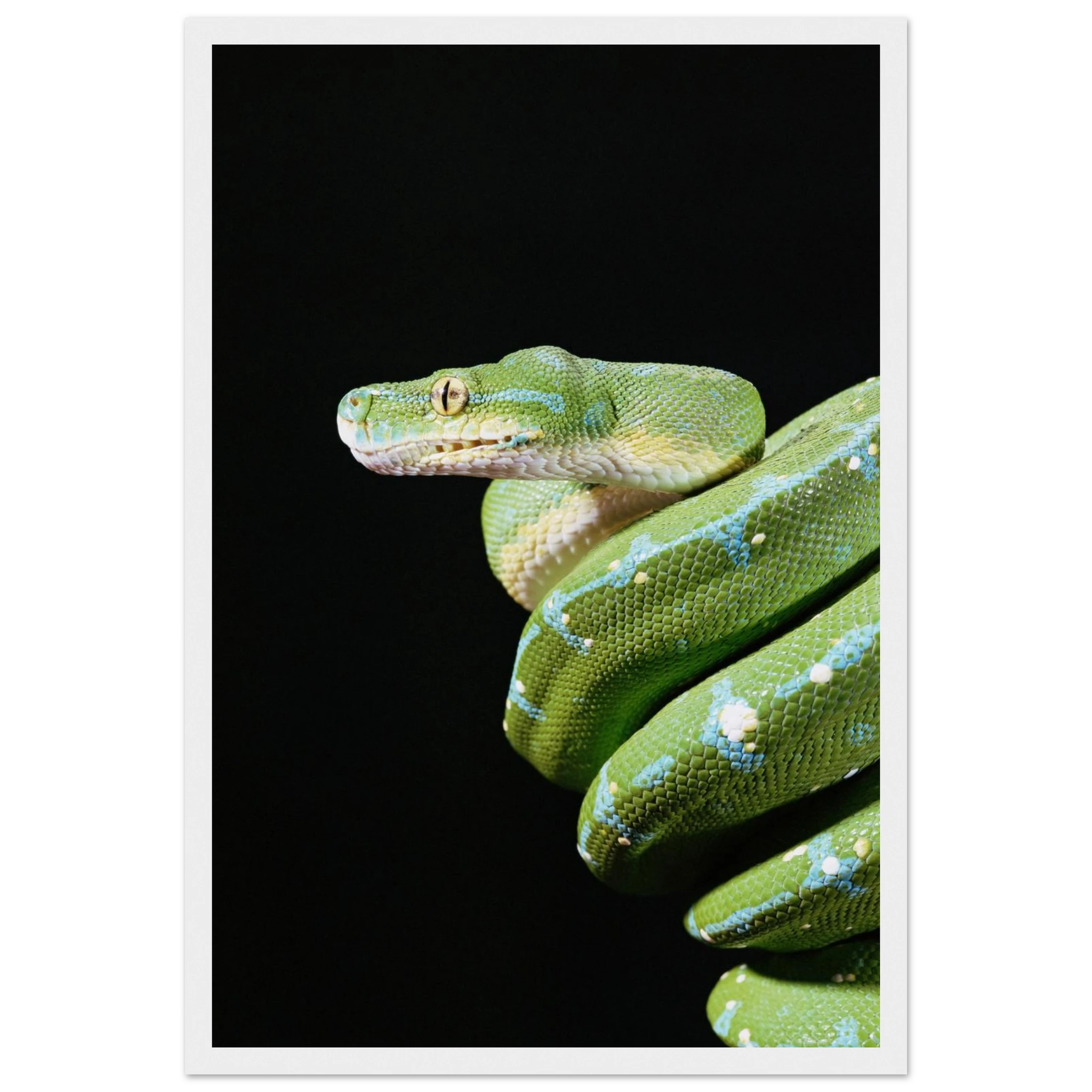 054e8b44-fe94-49b8-8b90-d9d40ec82960