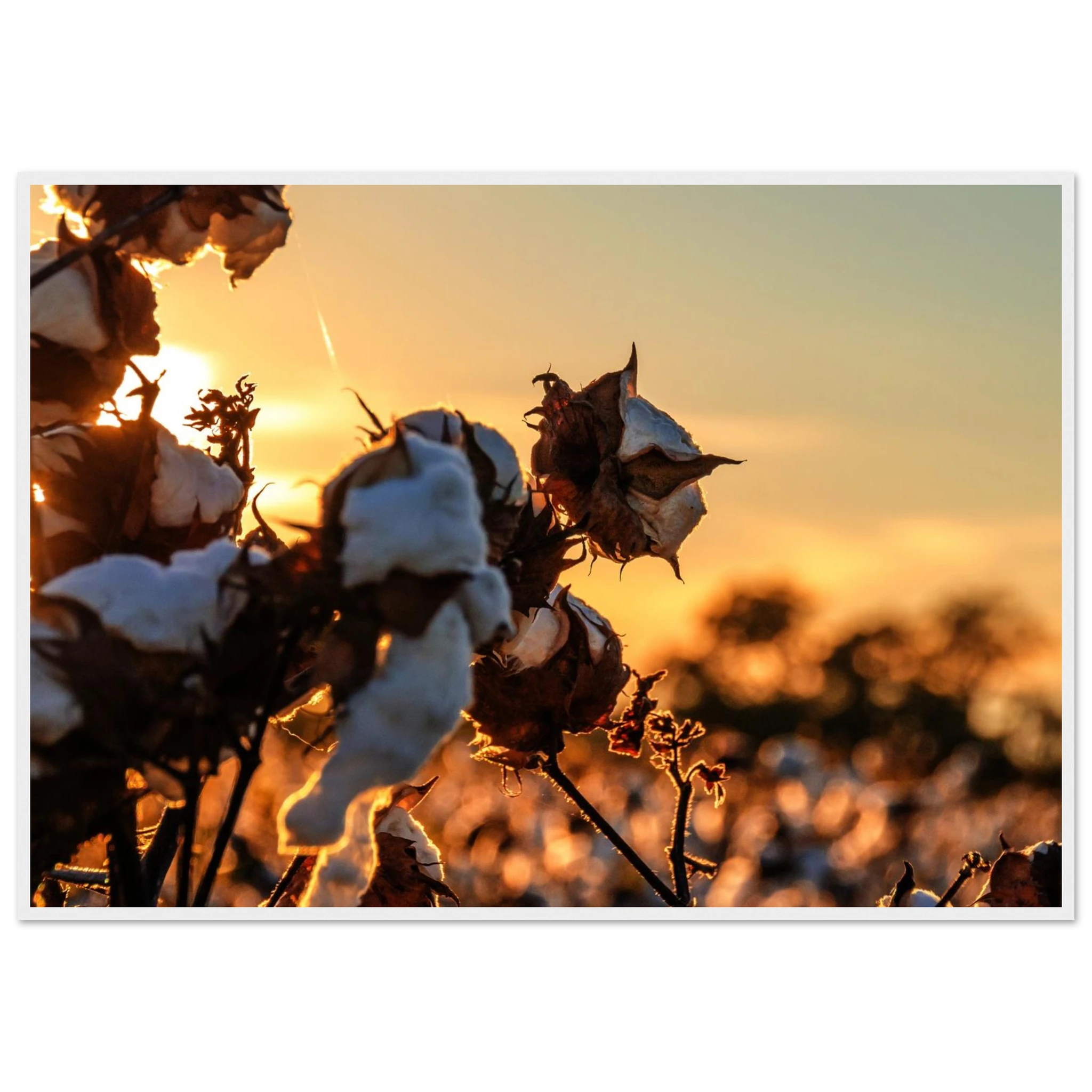 055d8e36-9d6a-43d9-84a5-481db6643987