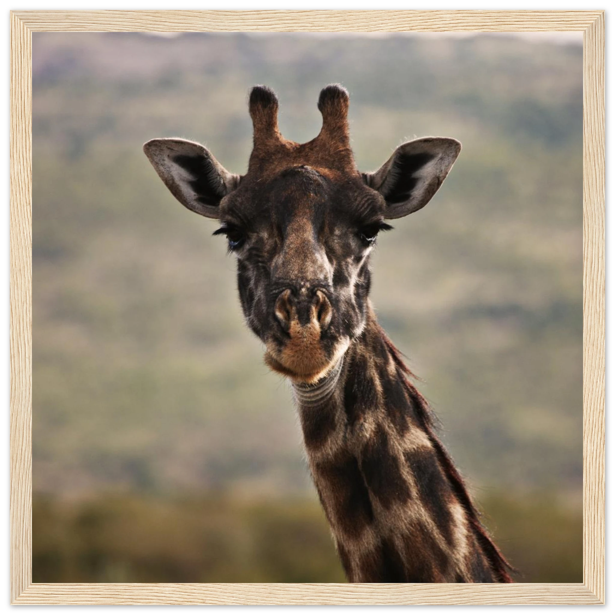 0598269f-3fbb-4472-987f-66957a8d8b18