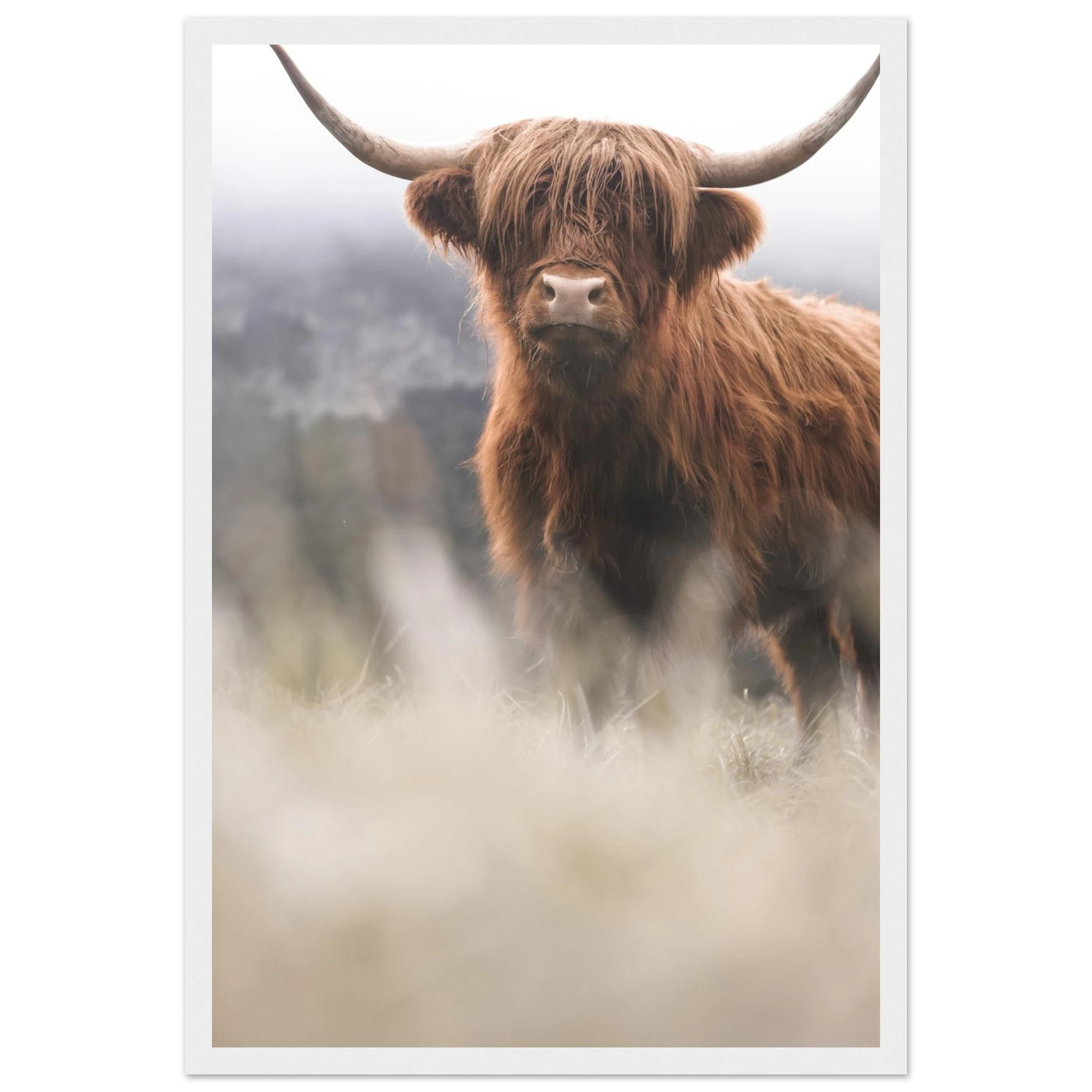 05aa437b-be76-4799-acb3-10e1650e51c9