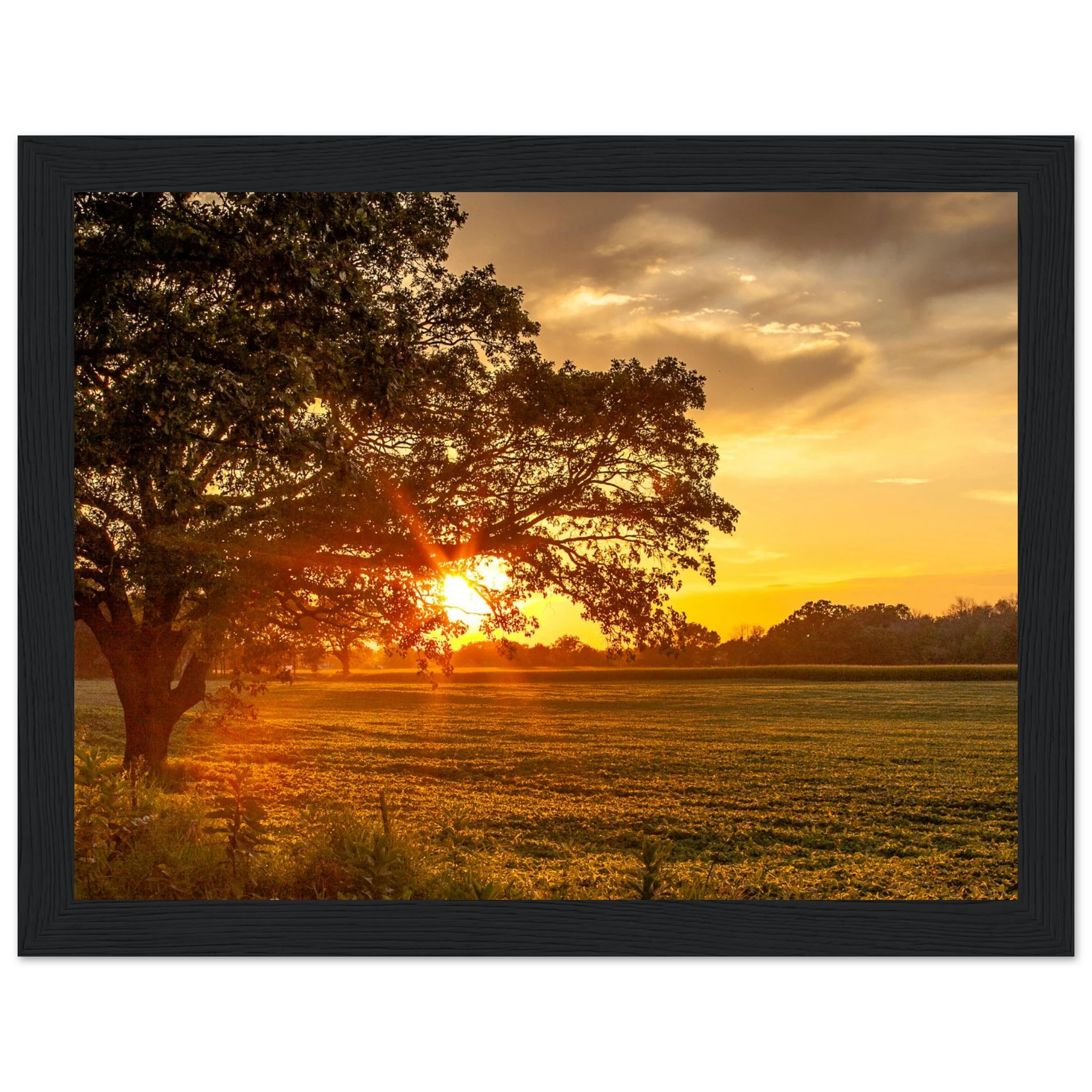 05ae886c-8546-401d-be42-c9d1d8fd90ca