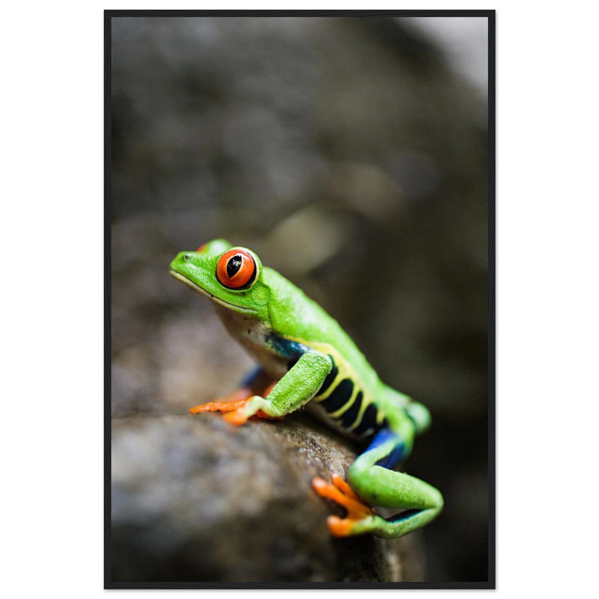 05d53921-4e46-4e23-8185-9606350170e6