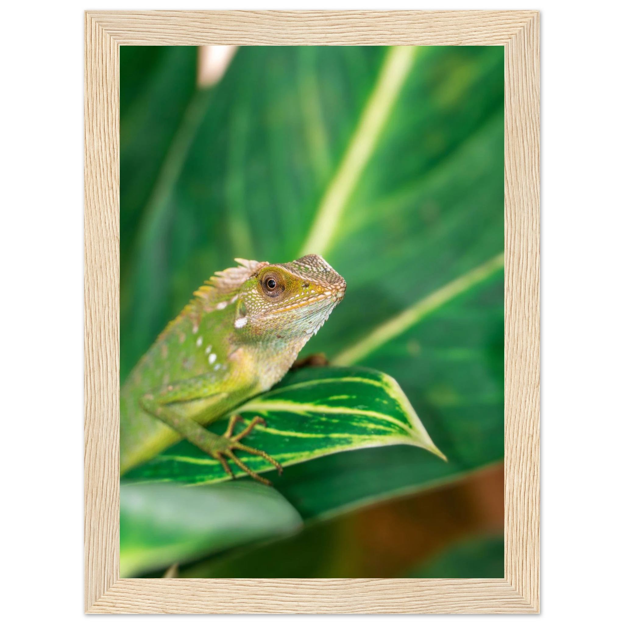 05ee5aa9-f365-4aef-b9d3-ec0b94f0c2f3