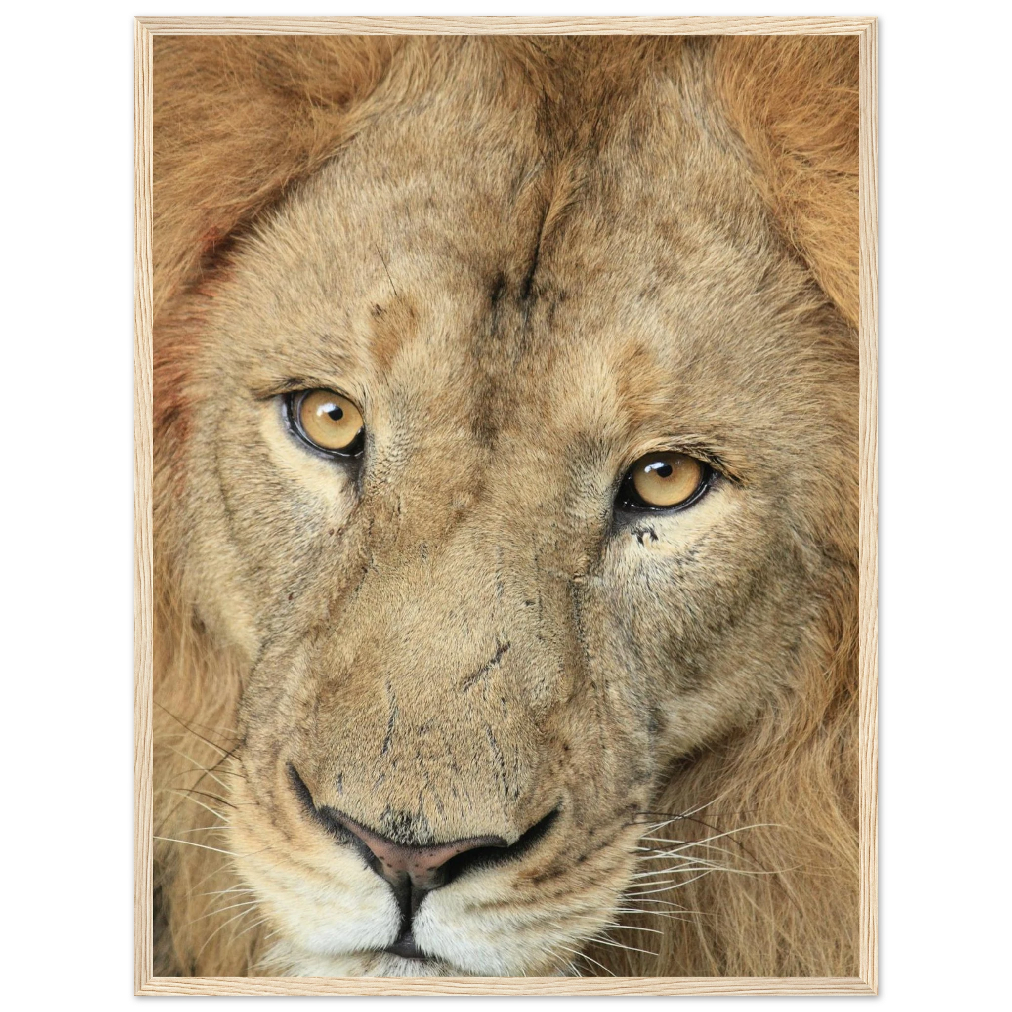 0613192c-f206-4a23-a9bd-a7ebd13cd532