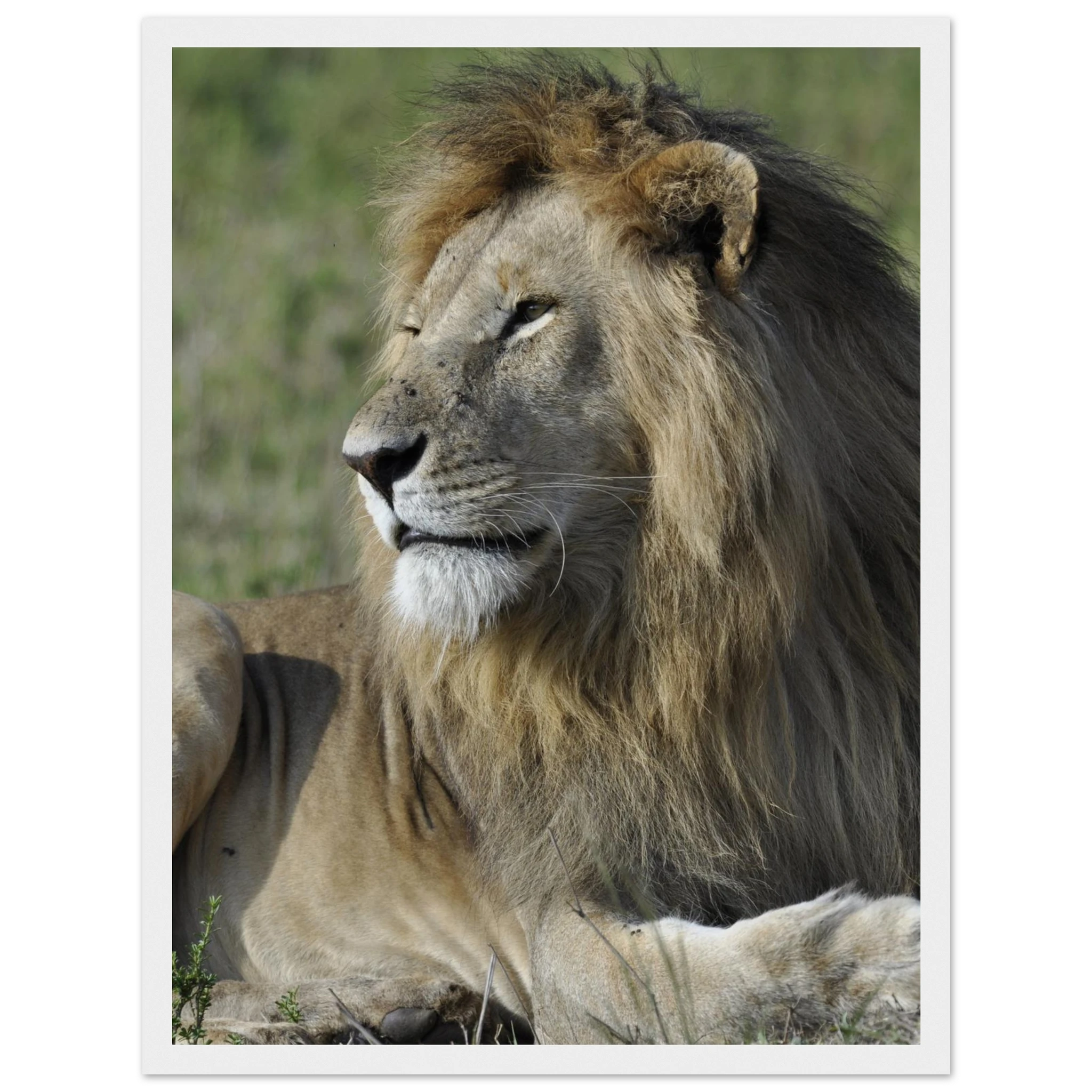 064626ed-88c4-4c5b-9adb-613b2a89d727