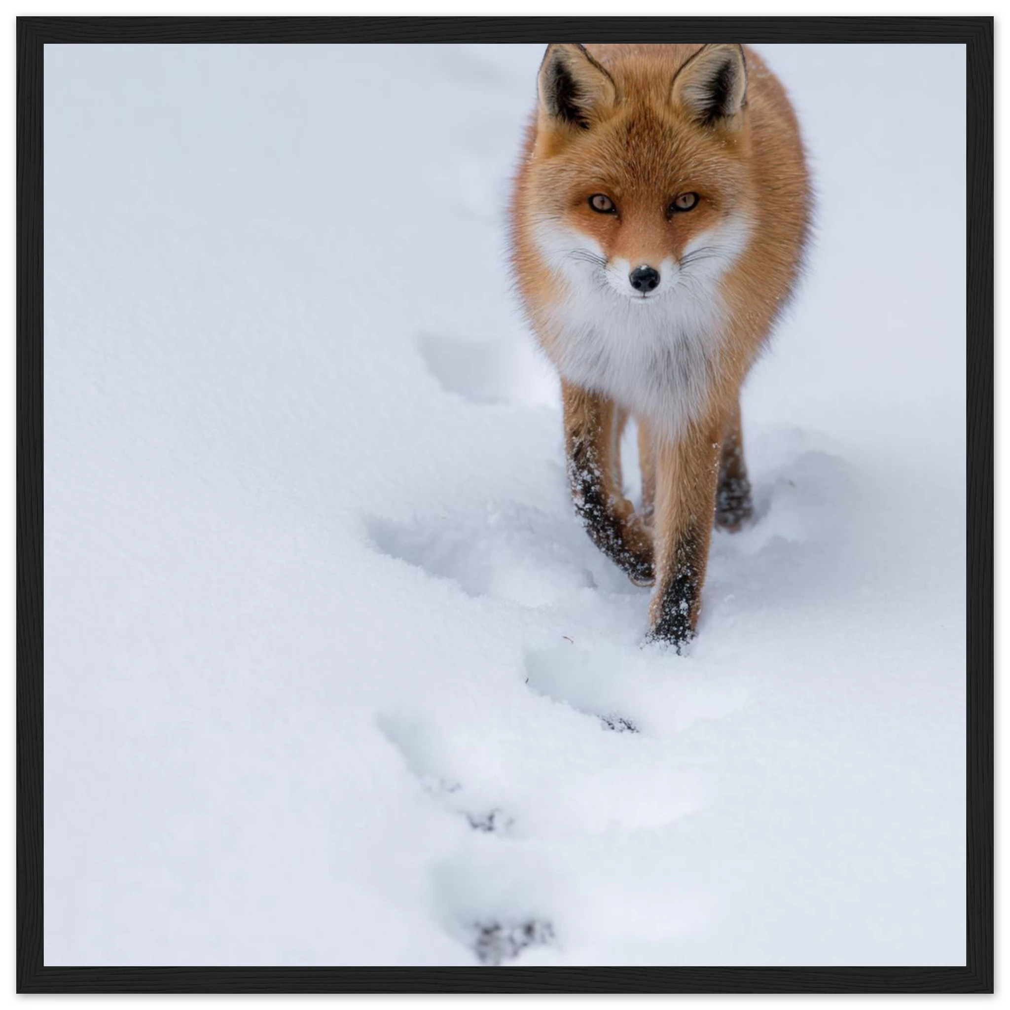 064c86b0-337c-4cf0-b865-d117c6f8e3f0