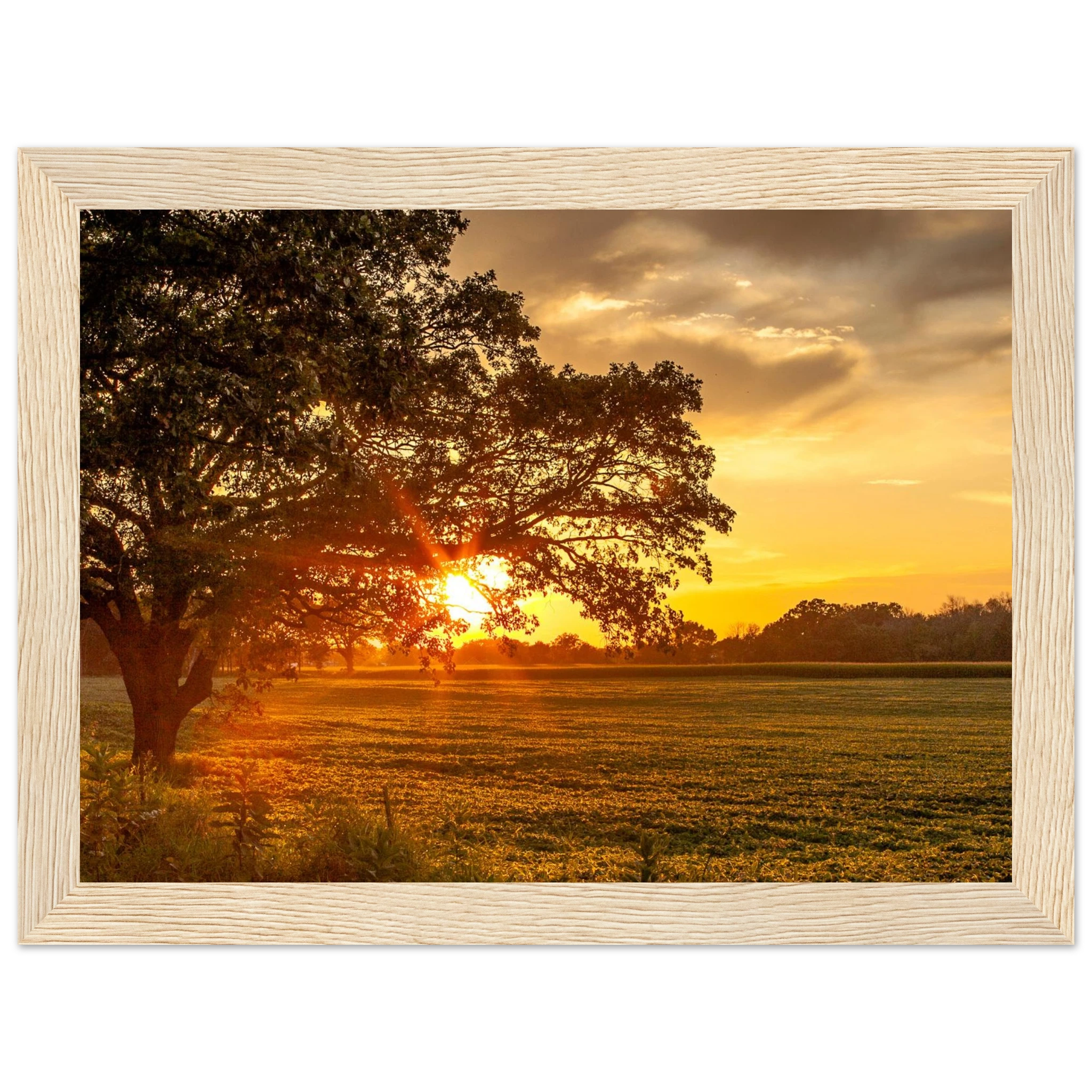 066ef5ee-8654-4bb1-a1cf-4c887491b662