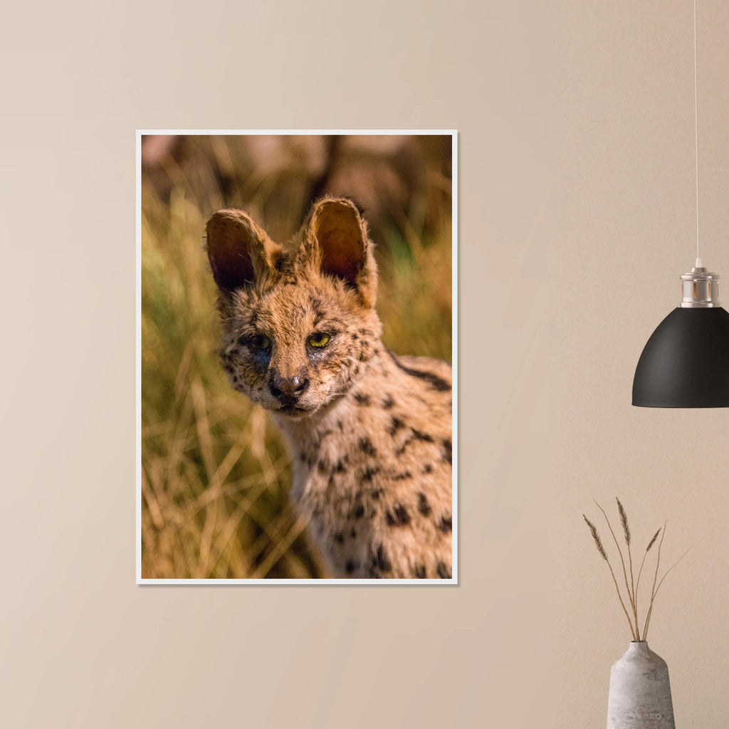 0681be07-28ad-4ecd-8e20-3edc9c716d3a