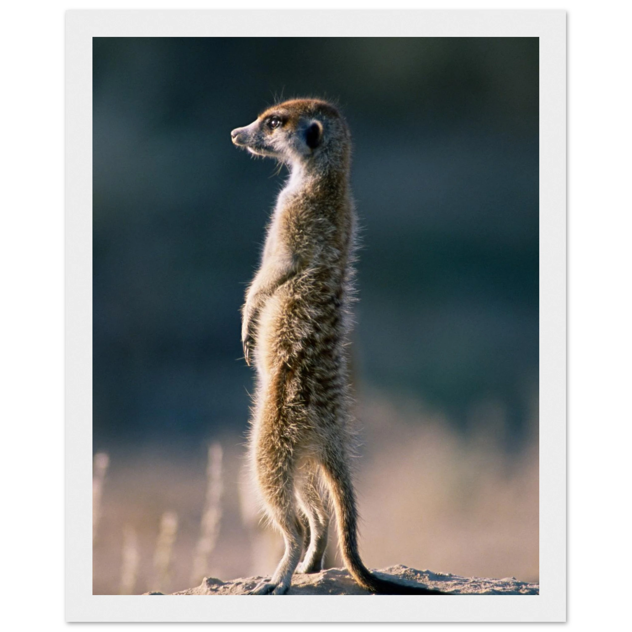 069d82dd-7b7f-4bb2-a897-d6e100920c60