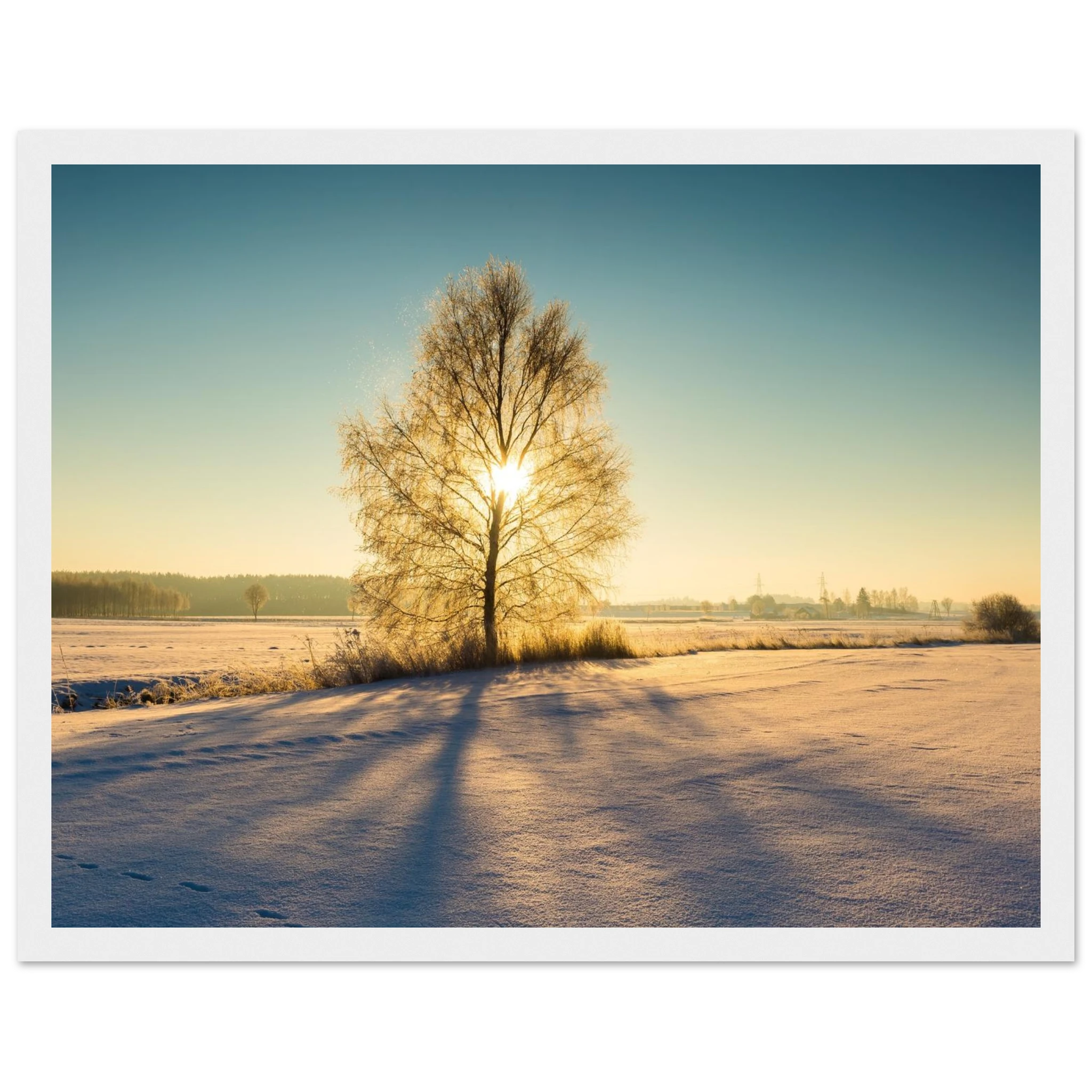 06a11681-3026-4e4a-92a1-0f4319fe91bf