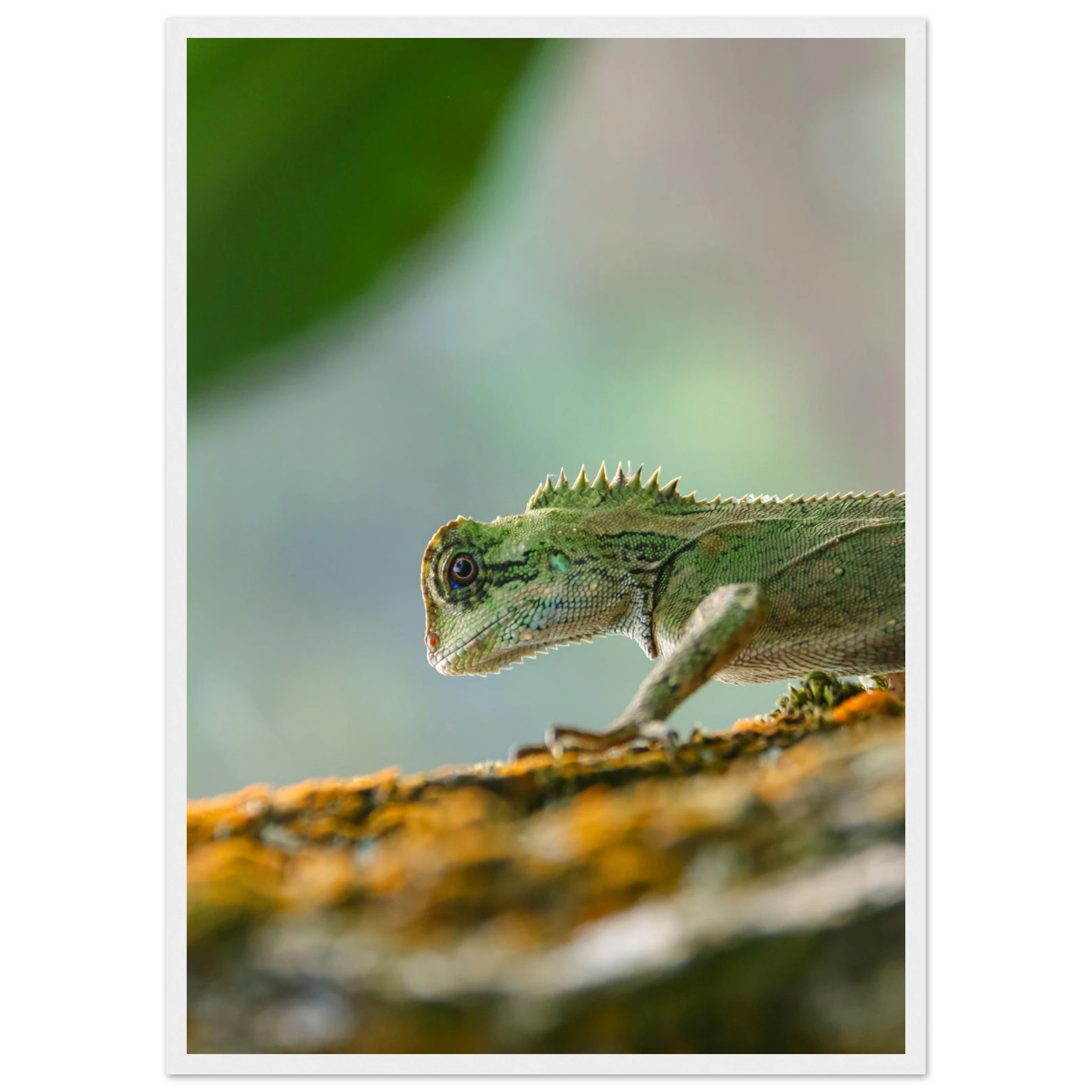 06a529a1-7402-4dc7-a21f-94c9398470b2