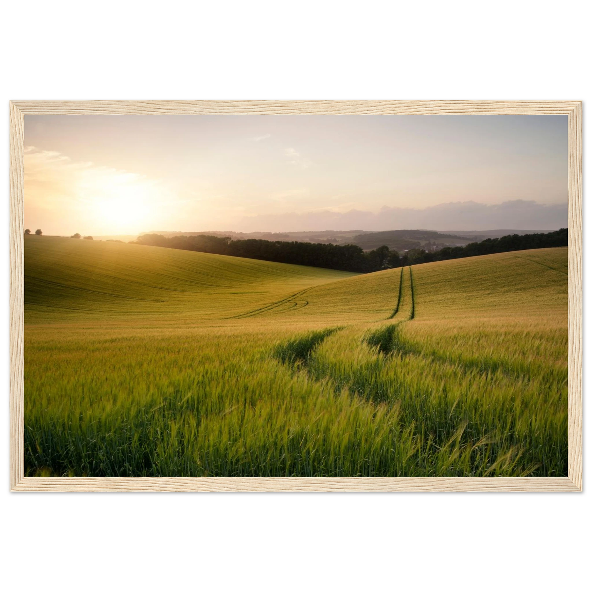 06aeb1f0-9df2-4c33-ad25-b8761414a440