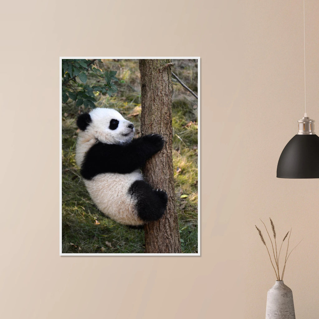 06e5009d-19d5-4b3a-a851-cf5047173f1d