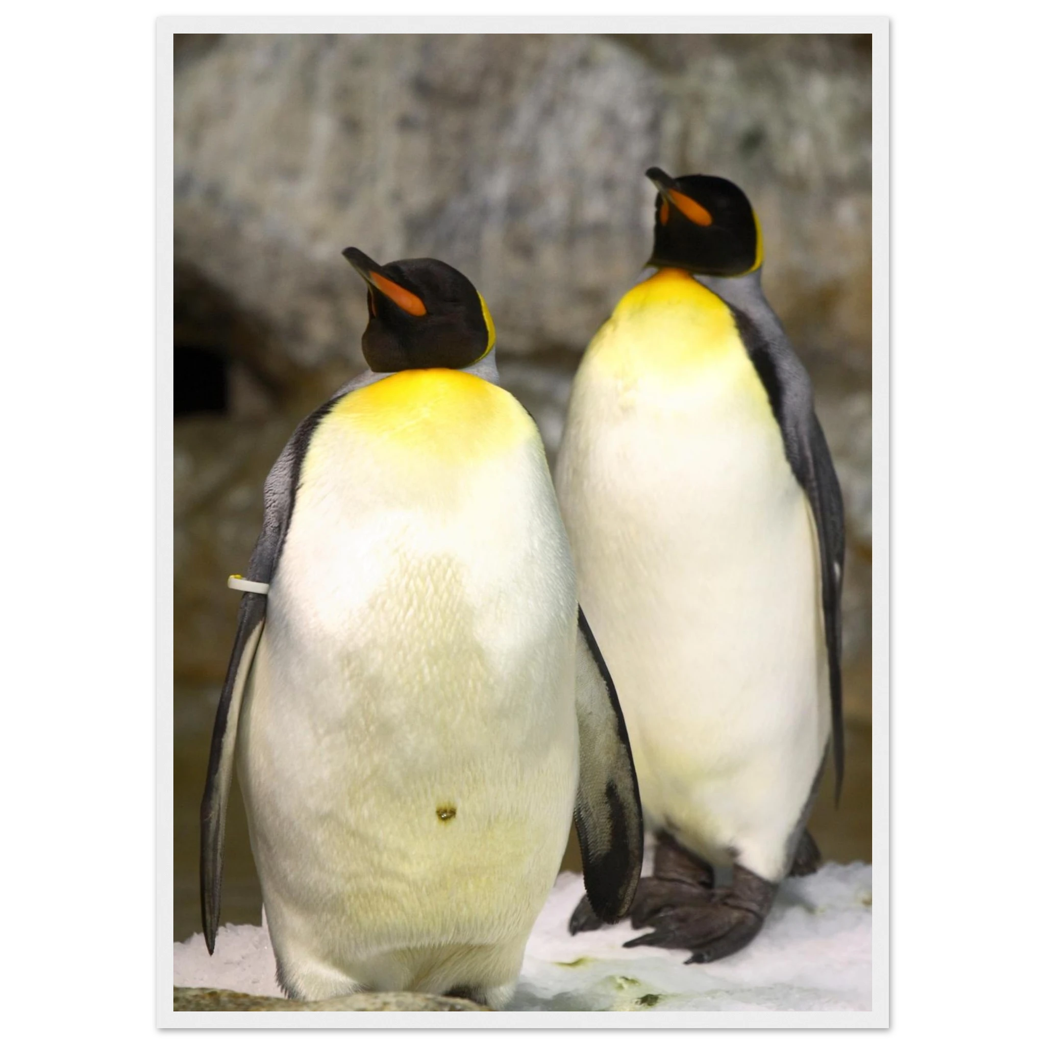 07055edd-7899-4d31-91c9-6ea37712295b