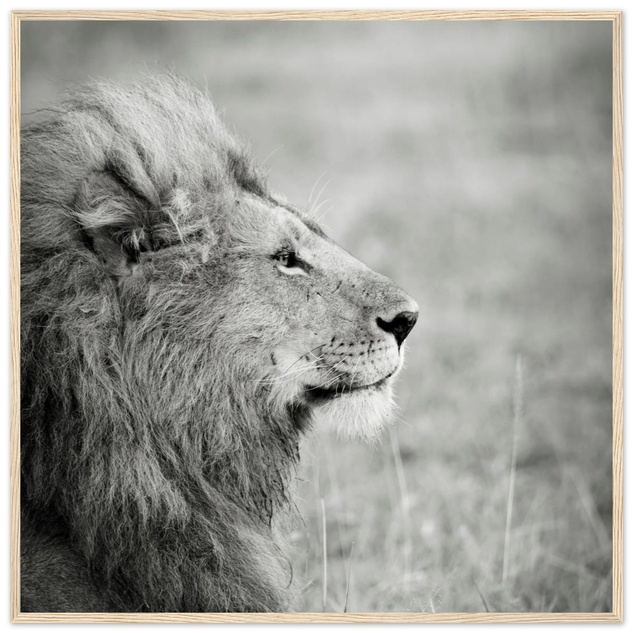 070990db-a3f2-4a99-8c1e-d6ad9668d066