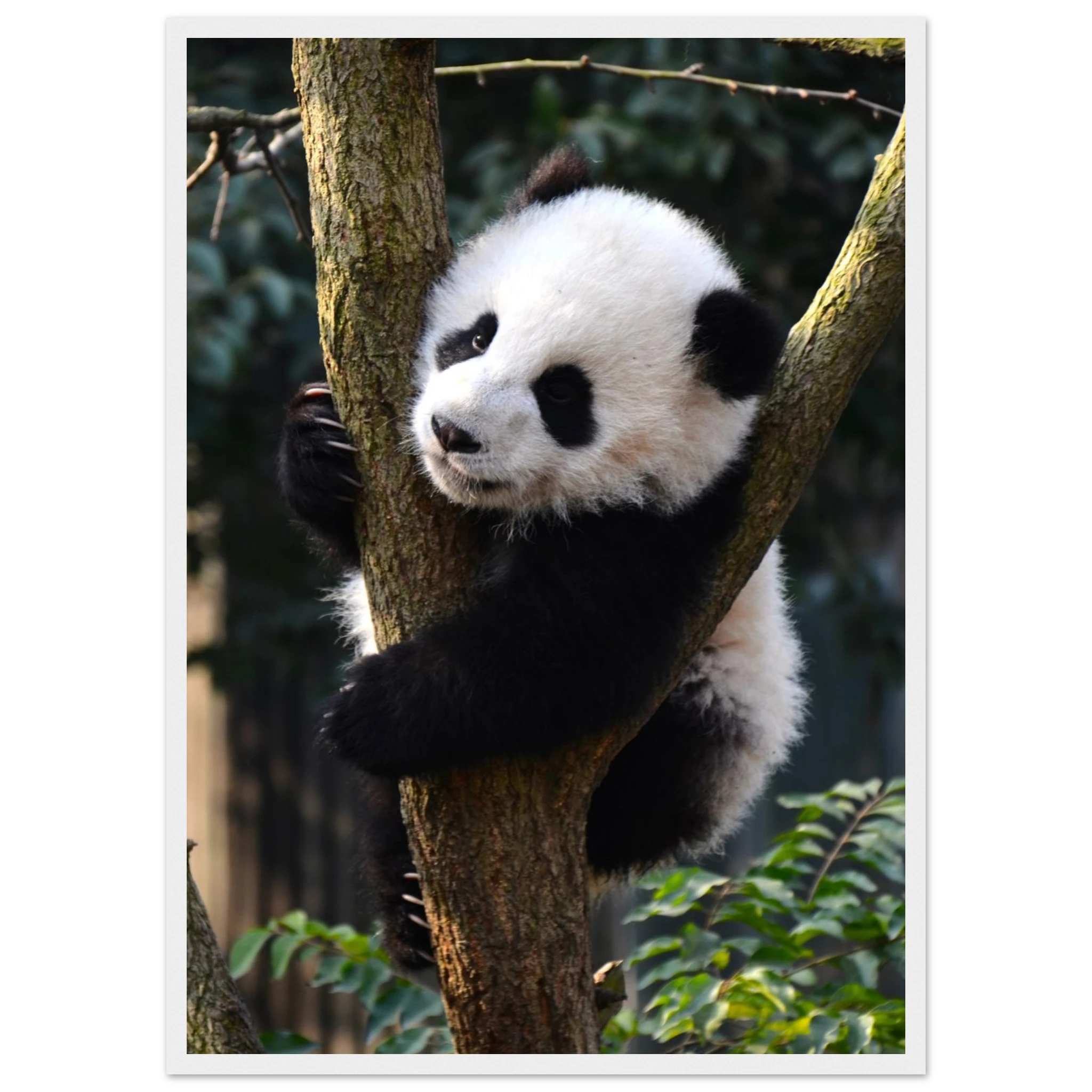 07289aa4-38b2-4ef3-9ab2-7720cf6da477