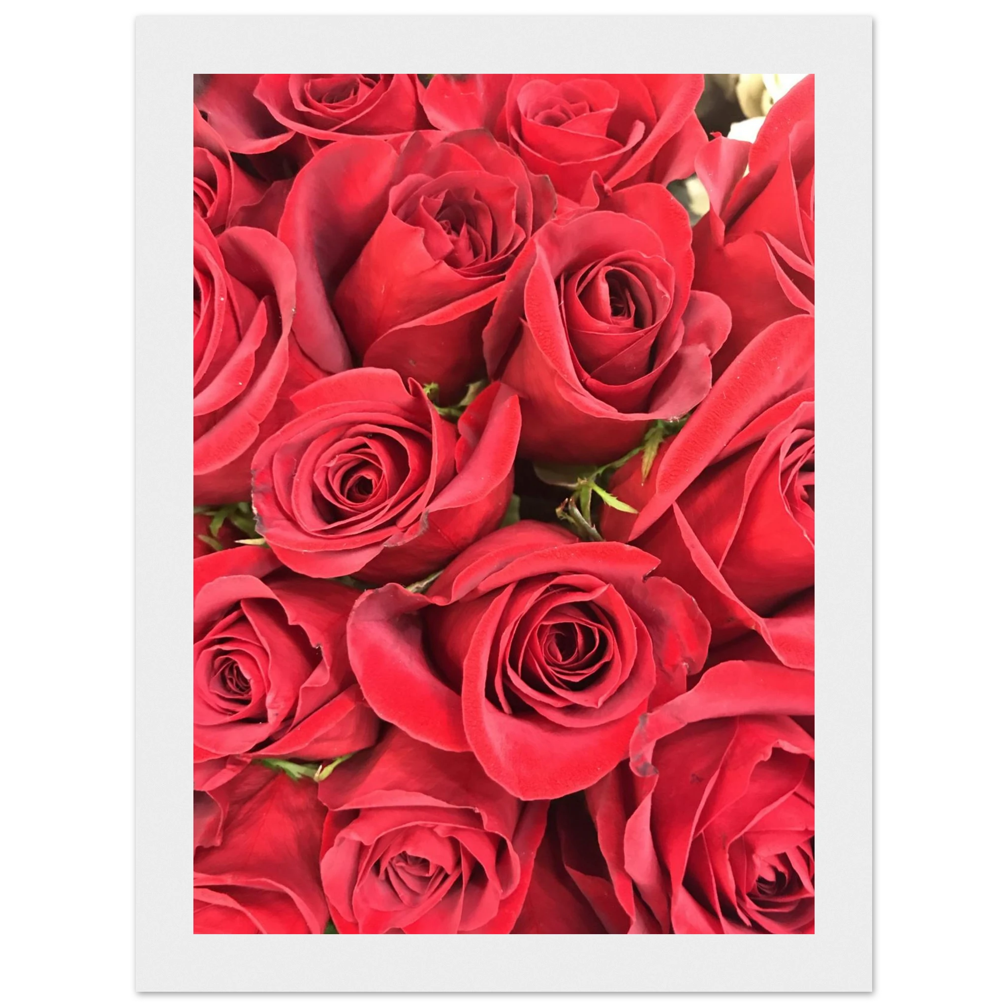 072cae3d-eae9-4de1-b28b-4abbdffc448c